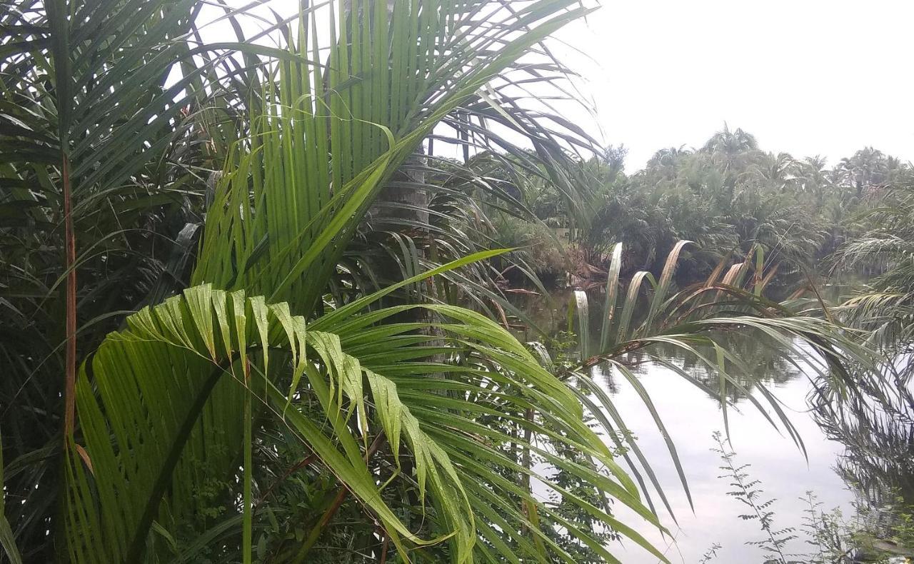 Hoa Su Biệt thự *