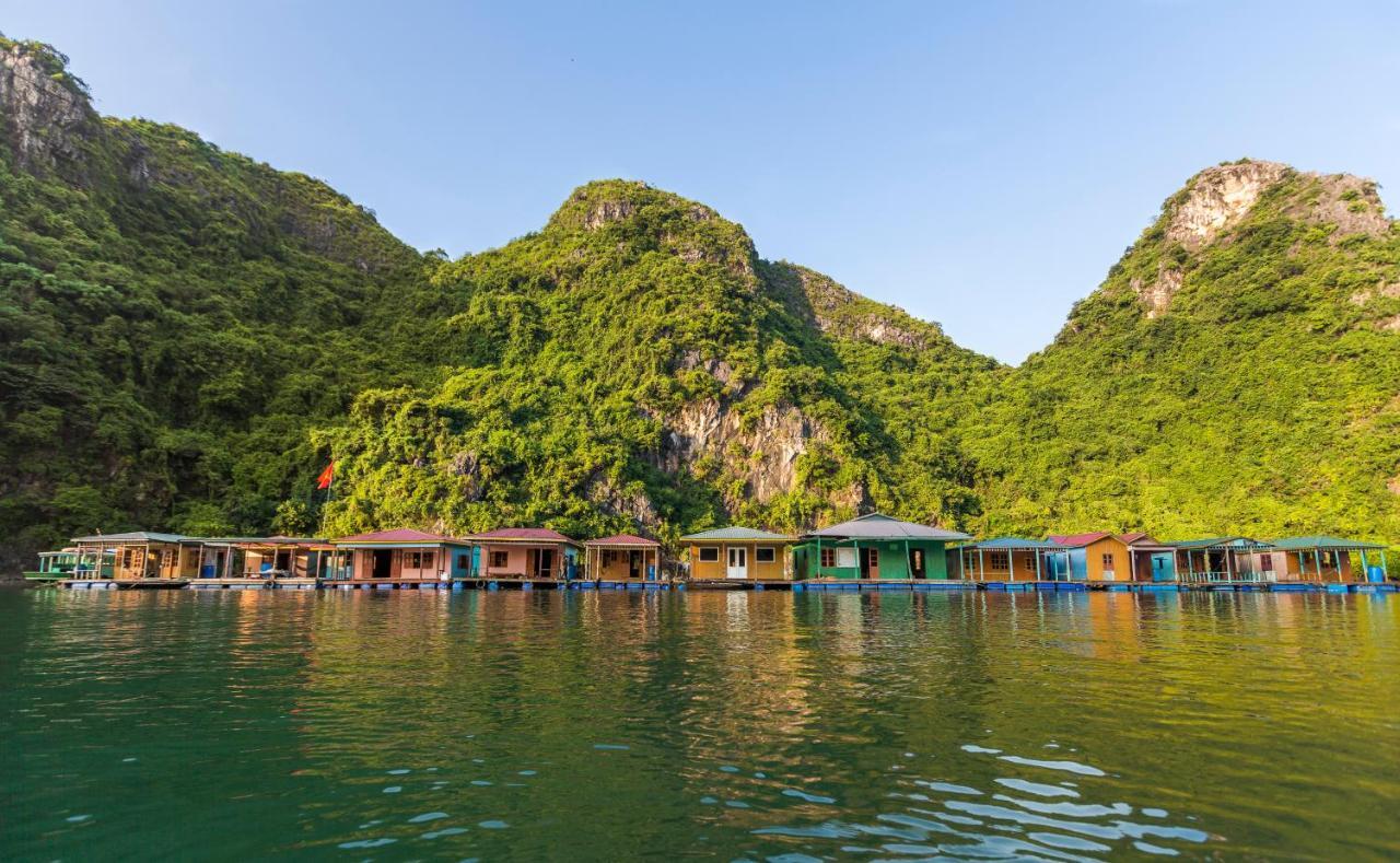 Heritage Line Violet Cruise - Halong Bay & Lan Ha Bay  5*