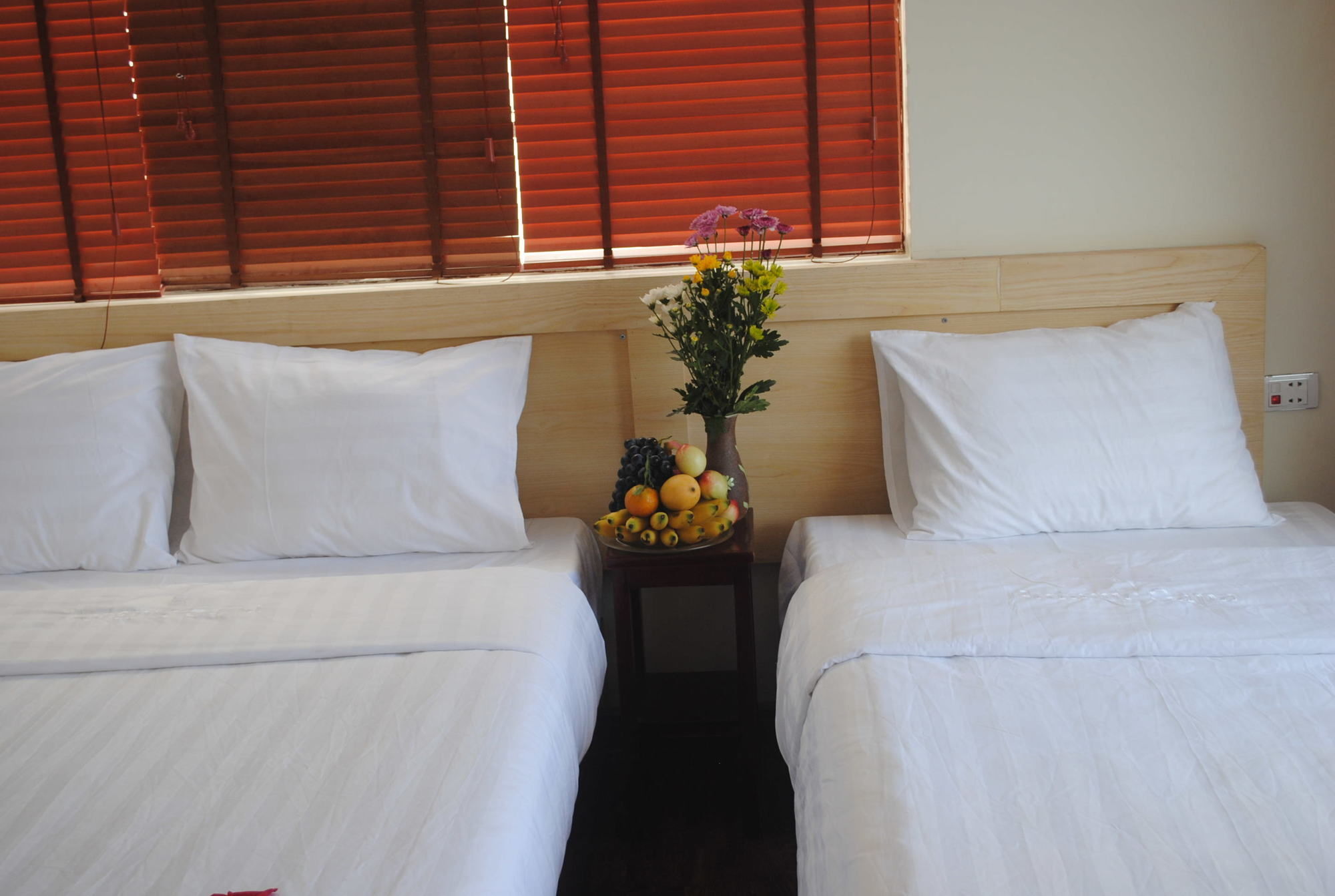Botanic Khách sạn