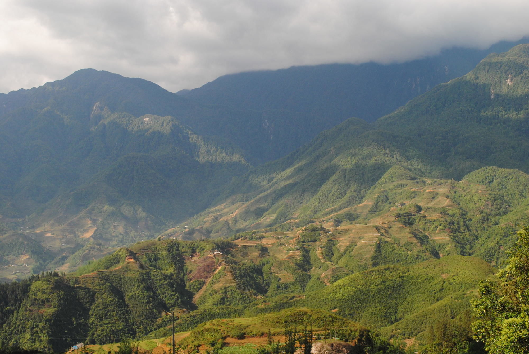Botanic Khách sạn Sa Pa