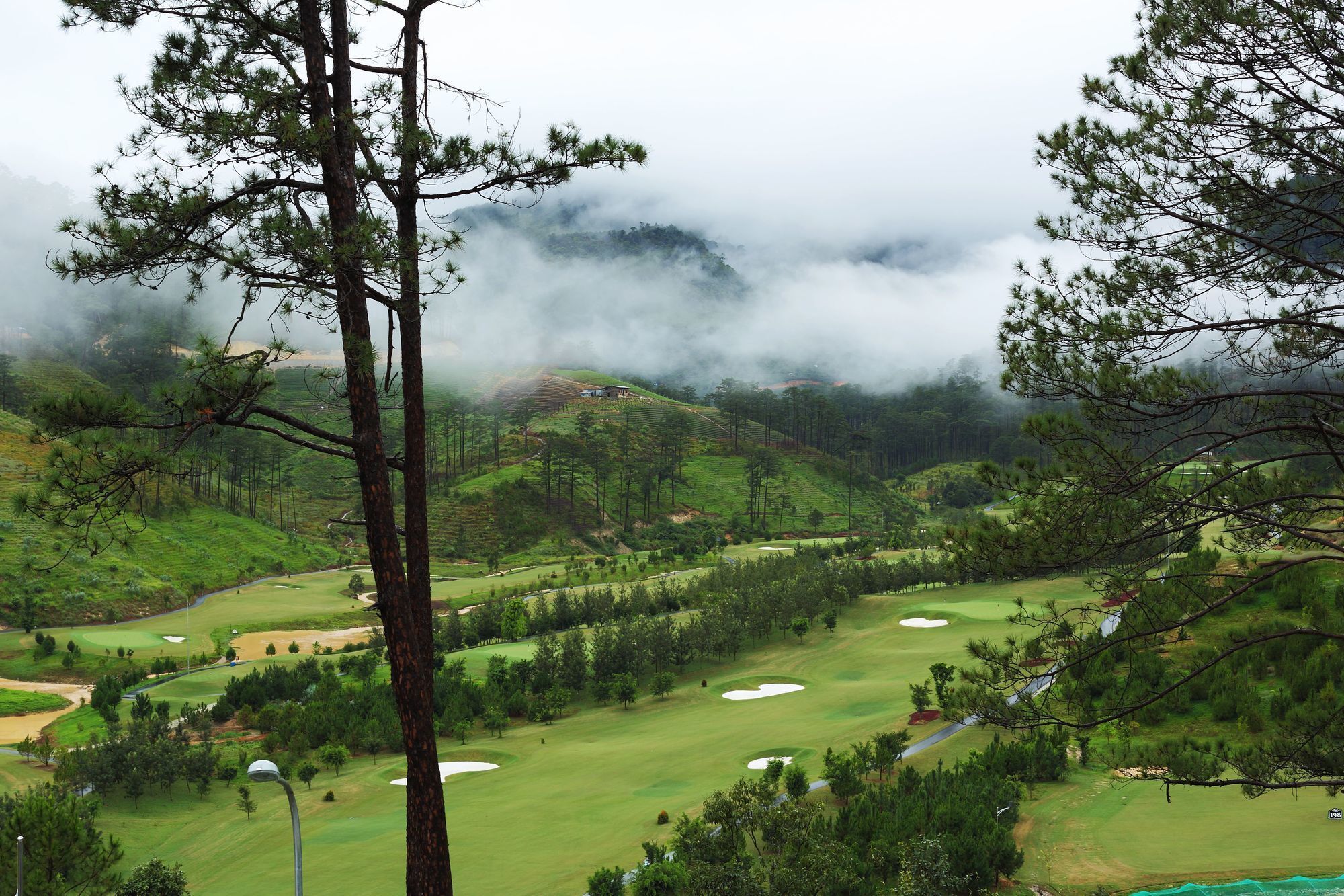 Sam Tuyen Lam Golf & Da Lat