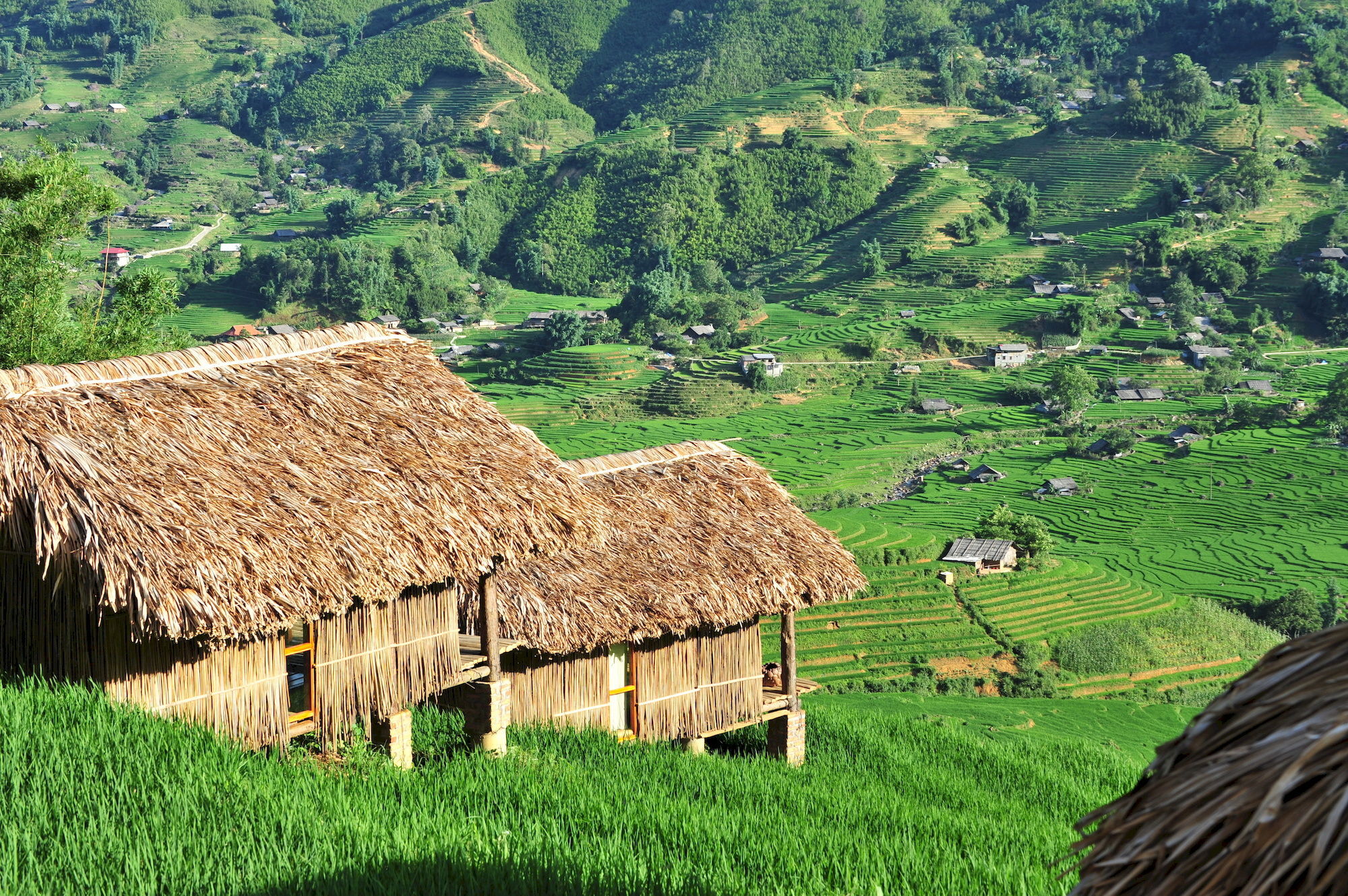 Eco Palms House - Retreat Khu nghỉ mát Sa Pa