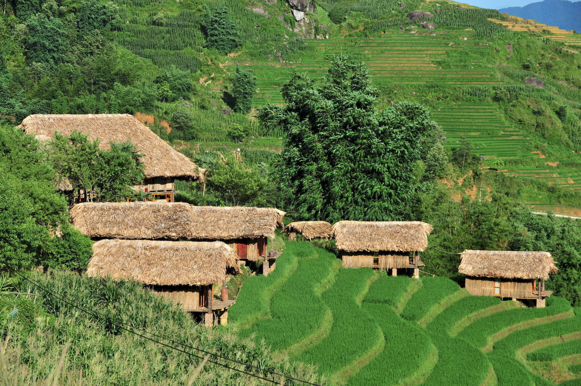 Khu nghỉ mát Eco Palms House - Retreat