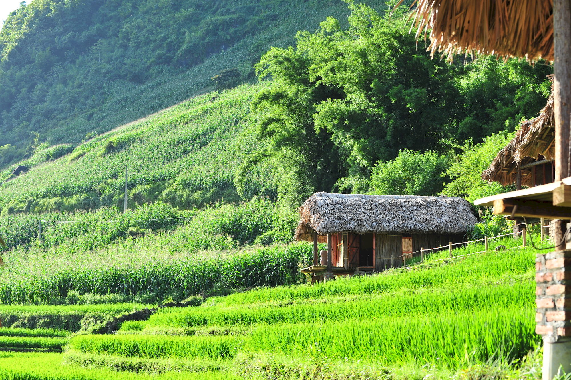 Resort Eco Palms House - Retreat Sa Pa