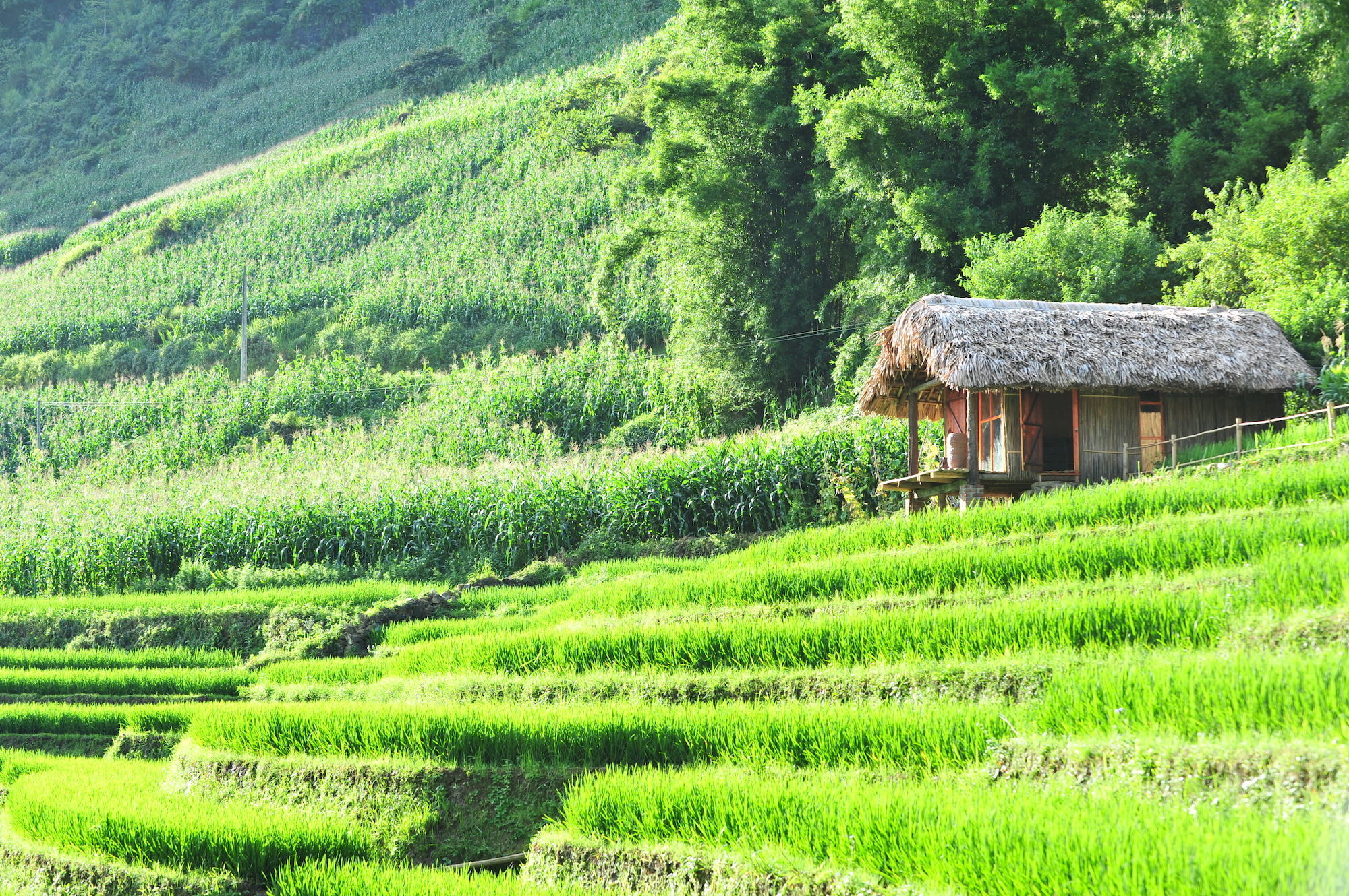 Eco Palms House - Retreat 3* Sa Pa