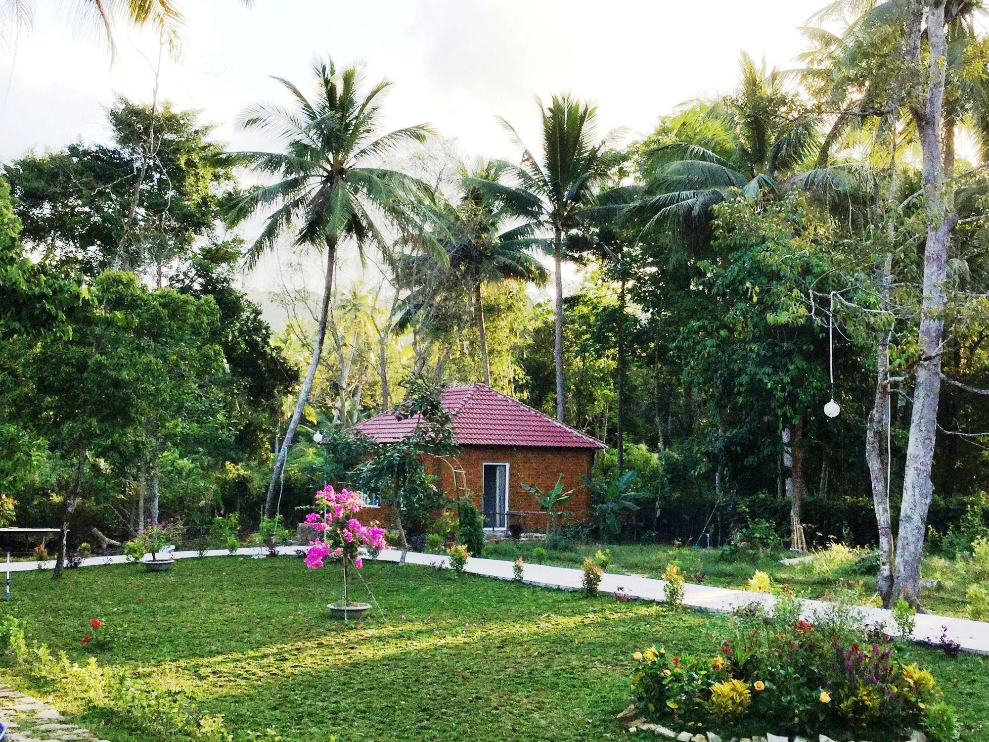 Giraffa Phu Quoc