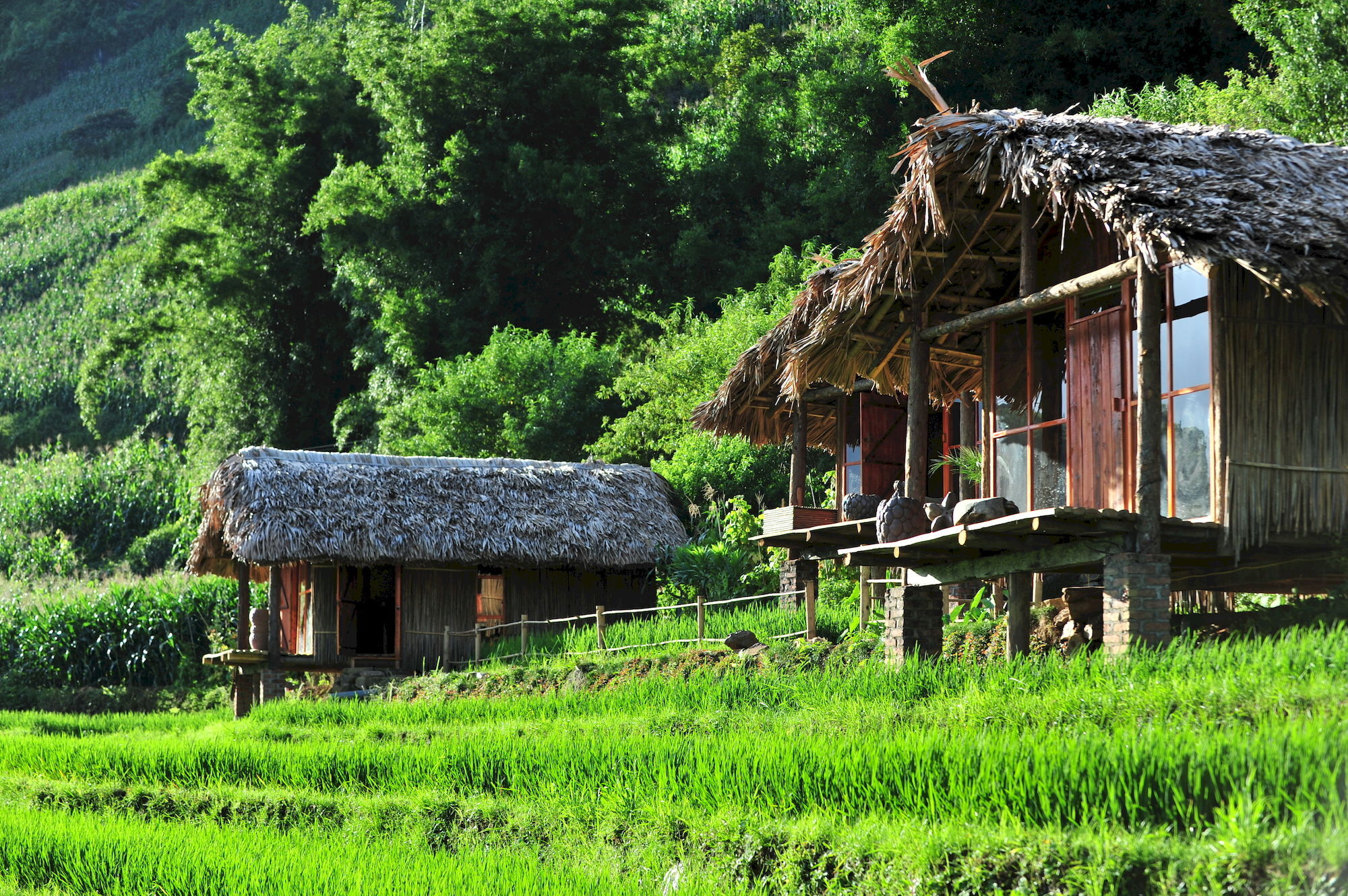 Resort Eco Palms House - Retreat Sa Pa