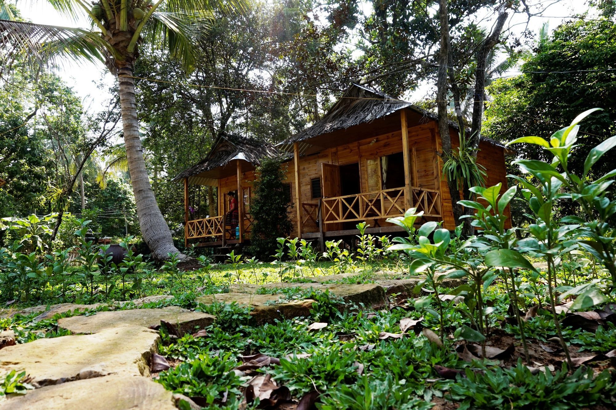 Giraffa Guest house