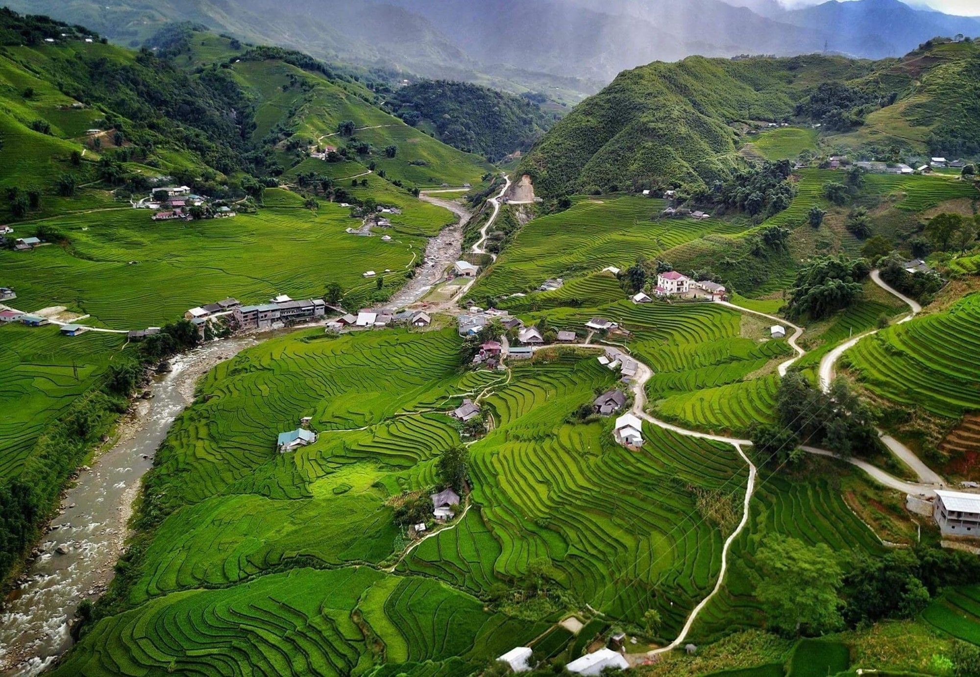 Khu nghỉ mát Eco Palms House - Retreat Sa Pa