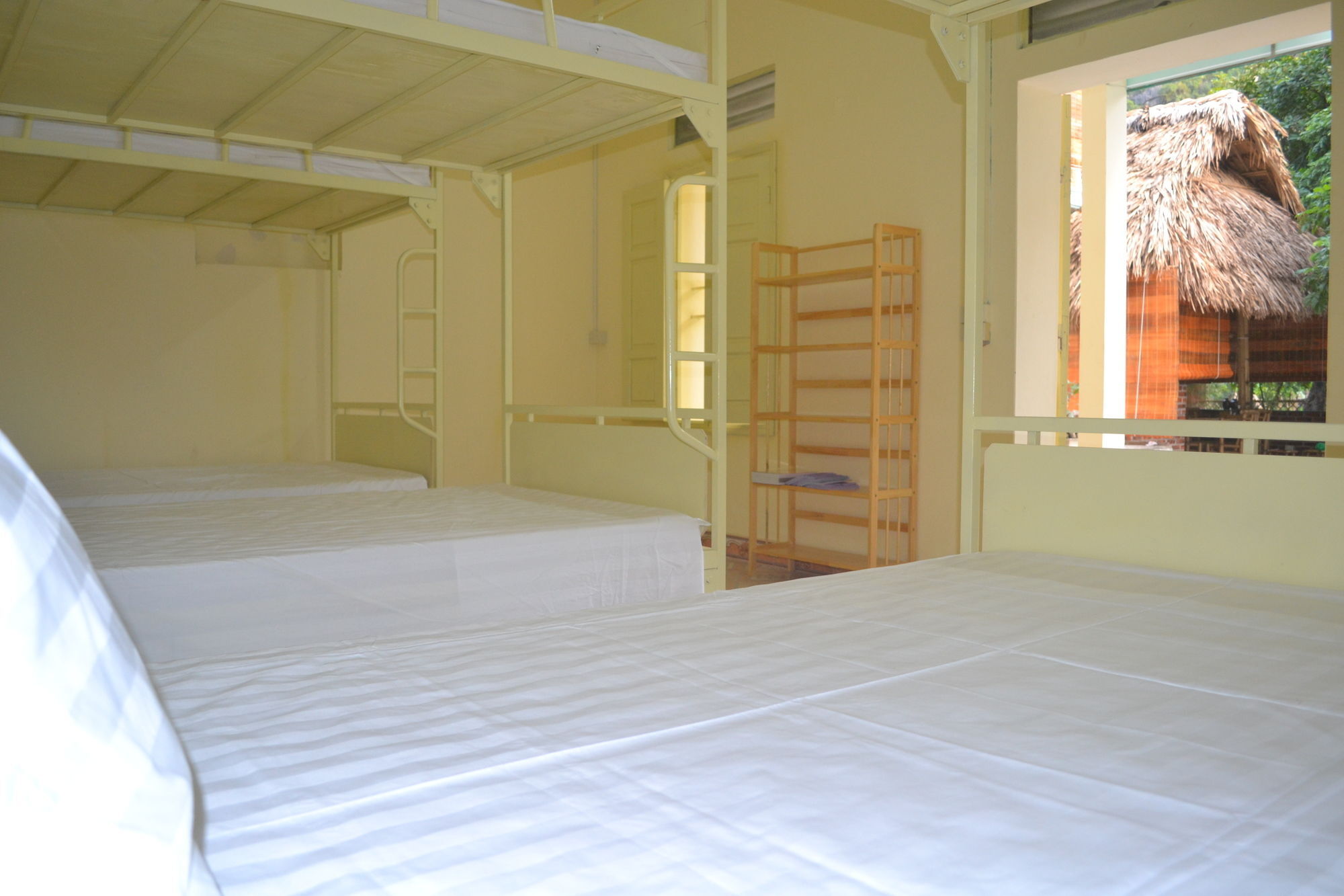 Hostel Hoalu Backpacker Ninh Binh
