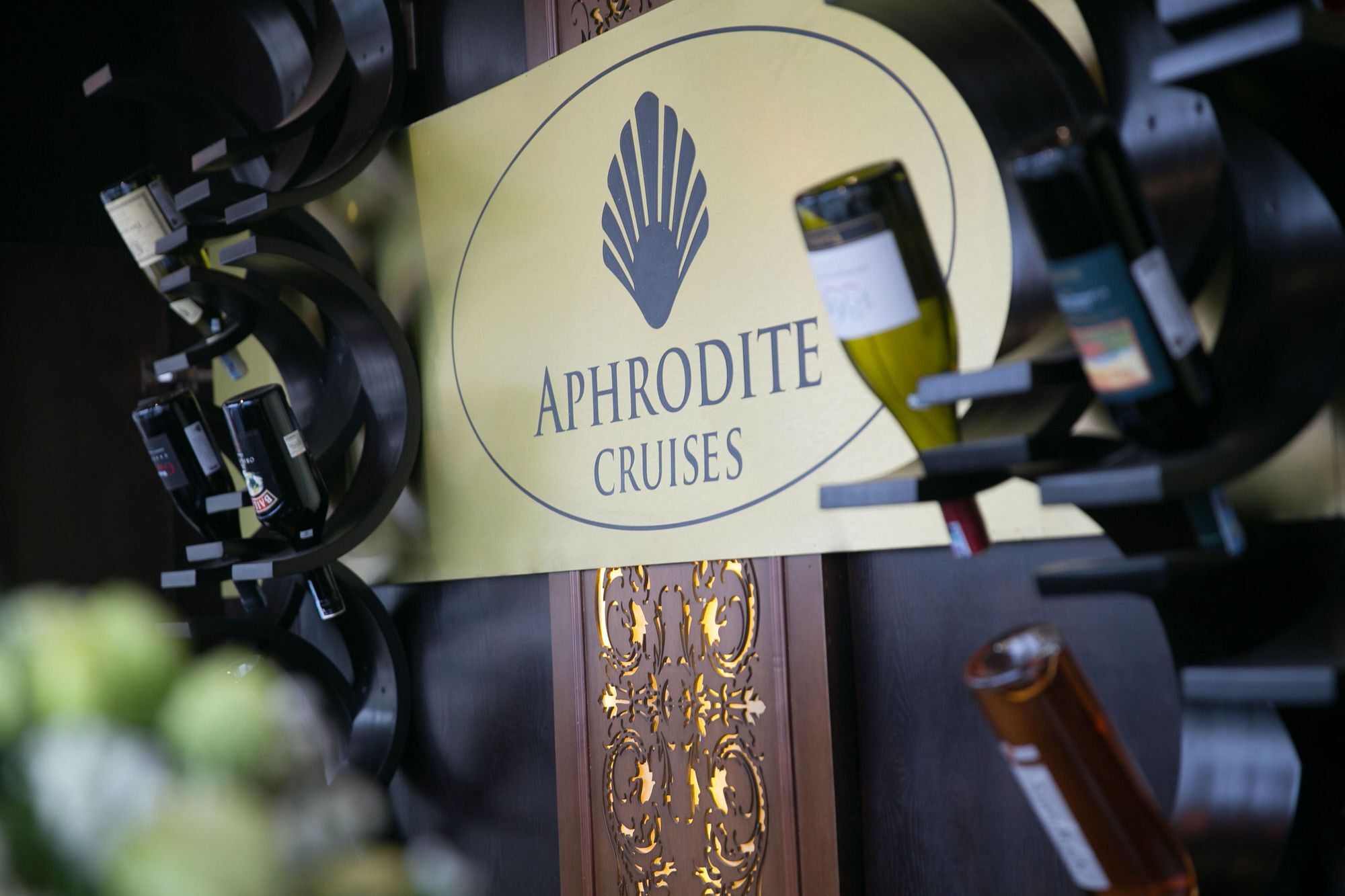 Aphrodite Cruise 4*