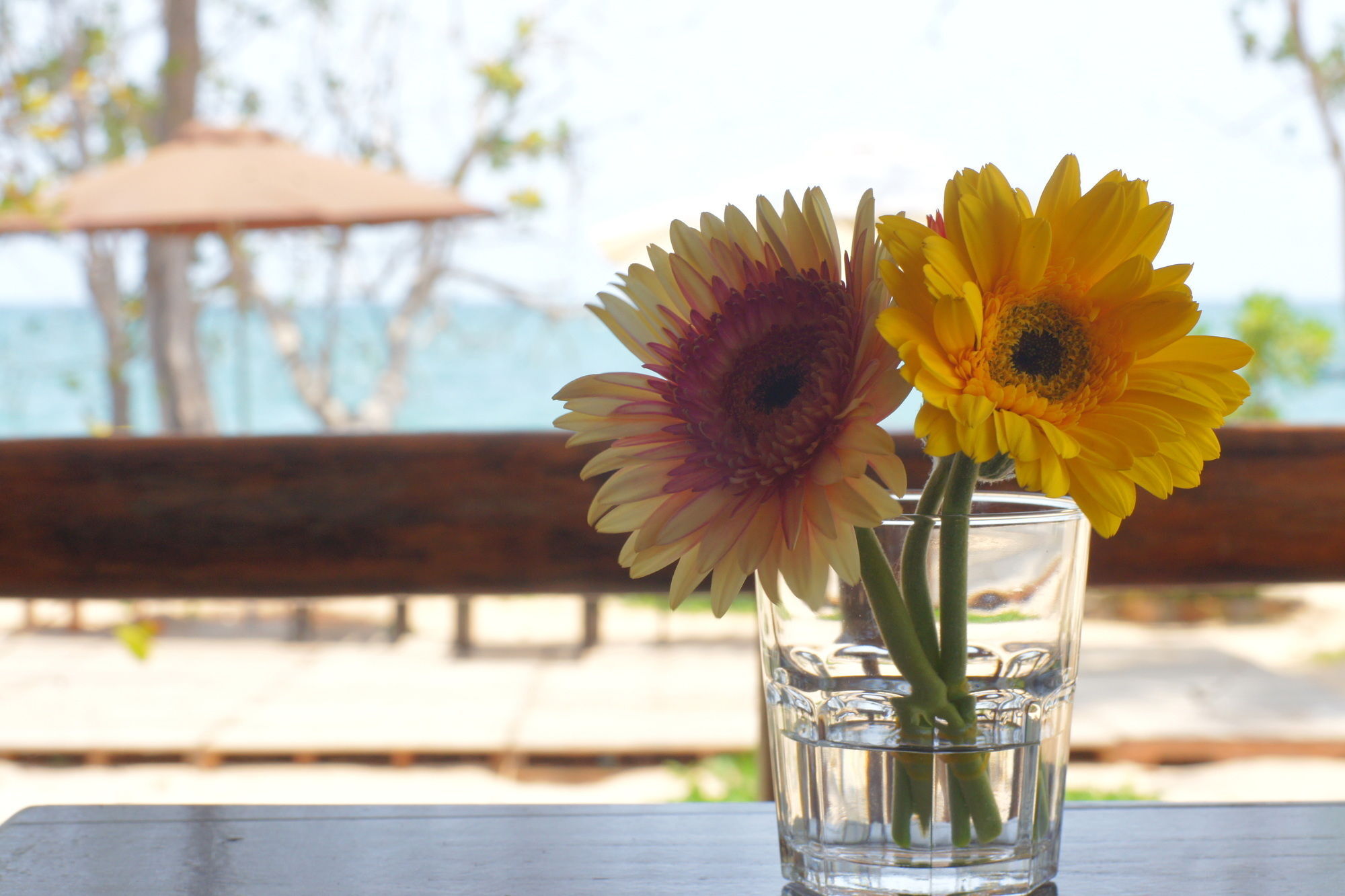Gold Hotel Phu Quoc