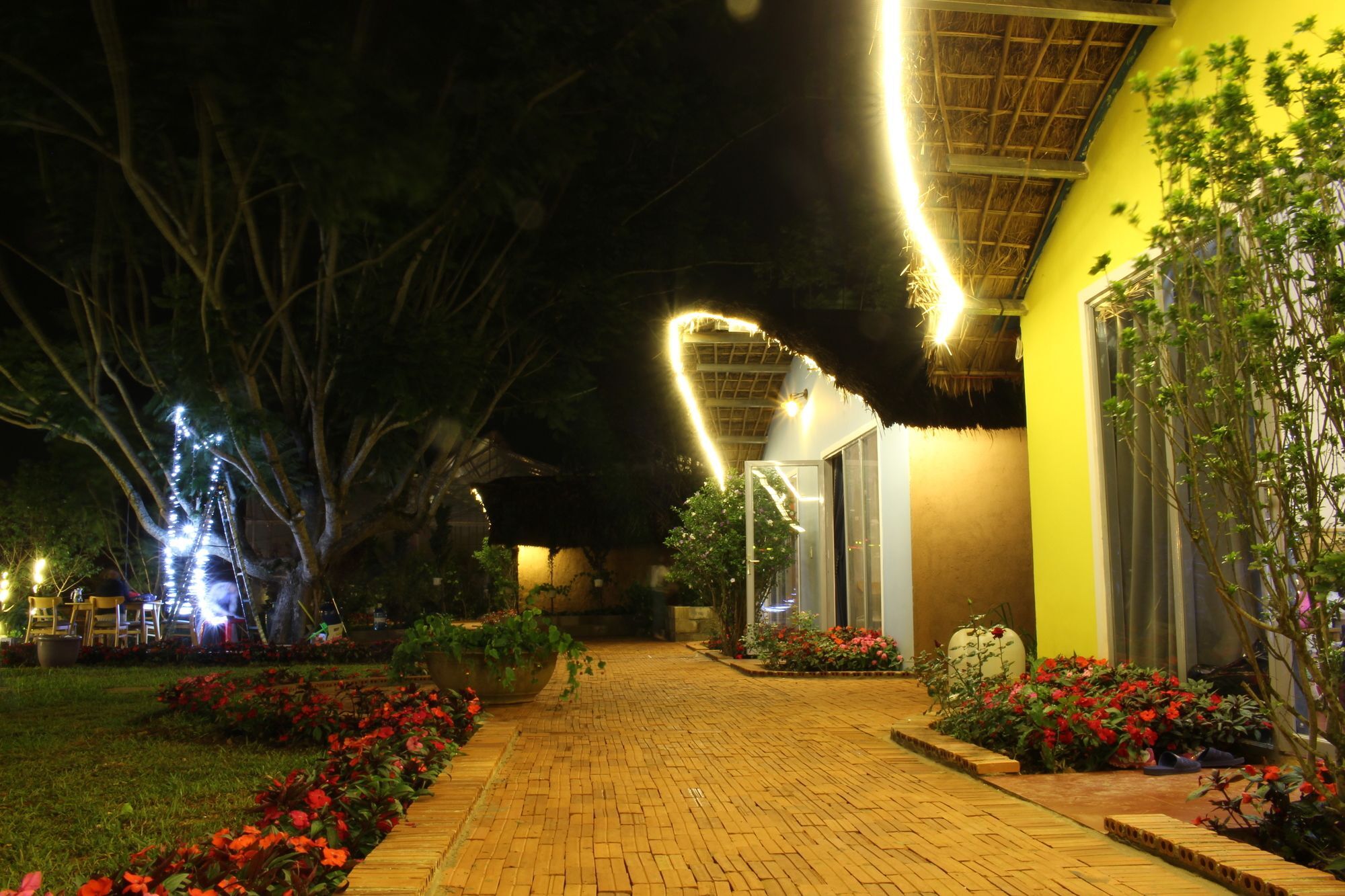 Cocoon 3* Da Lat