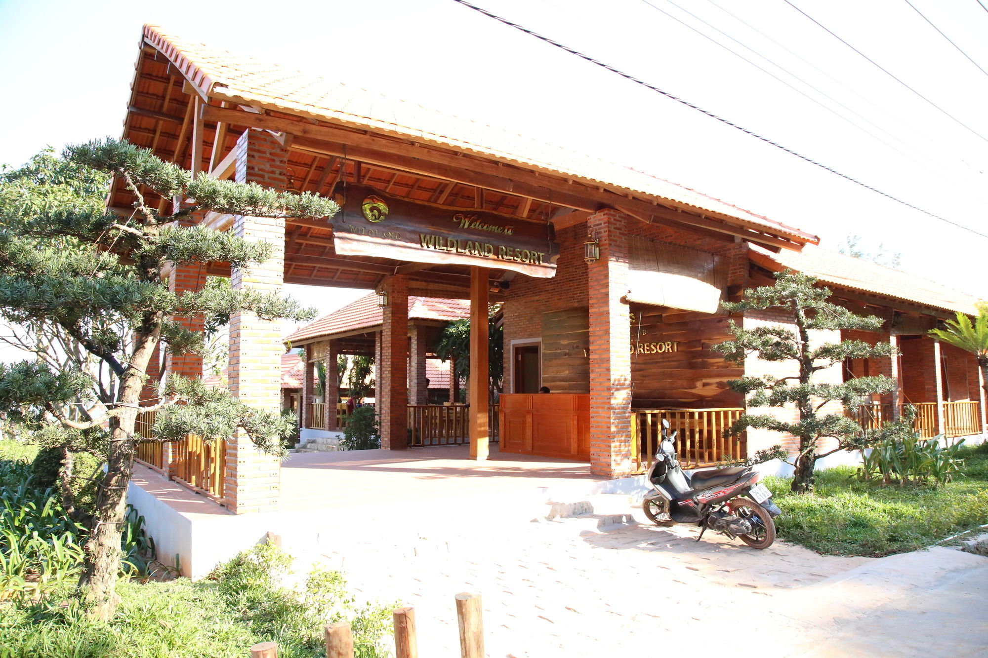 Wildland 3*