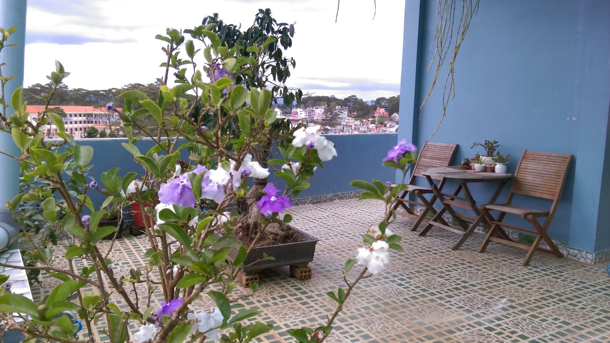 Long Vuong Hotel *