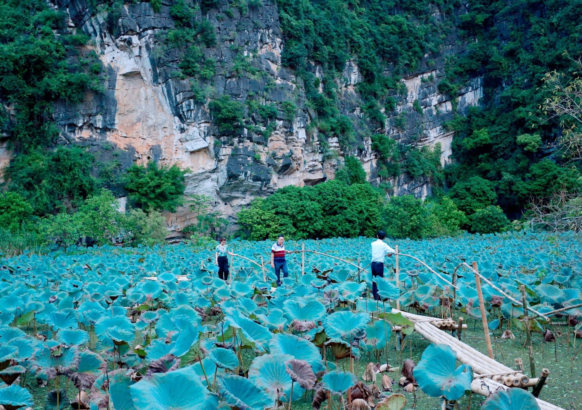 Trang An Heritage Garden * Ninh Binh