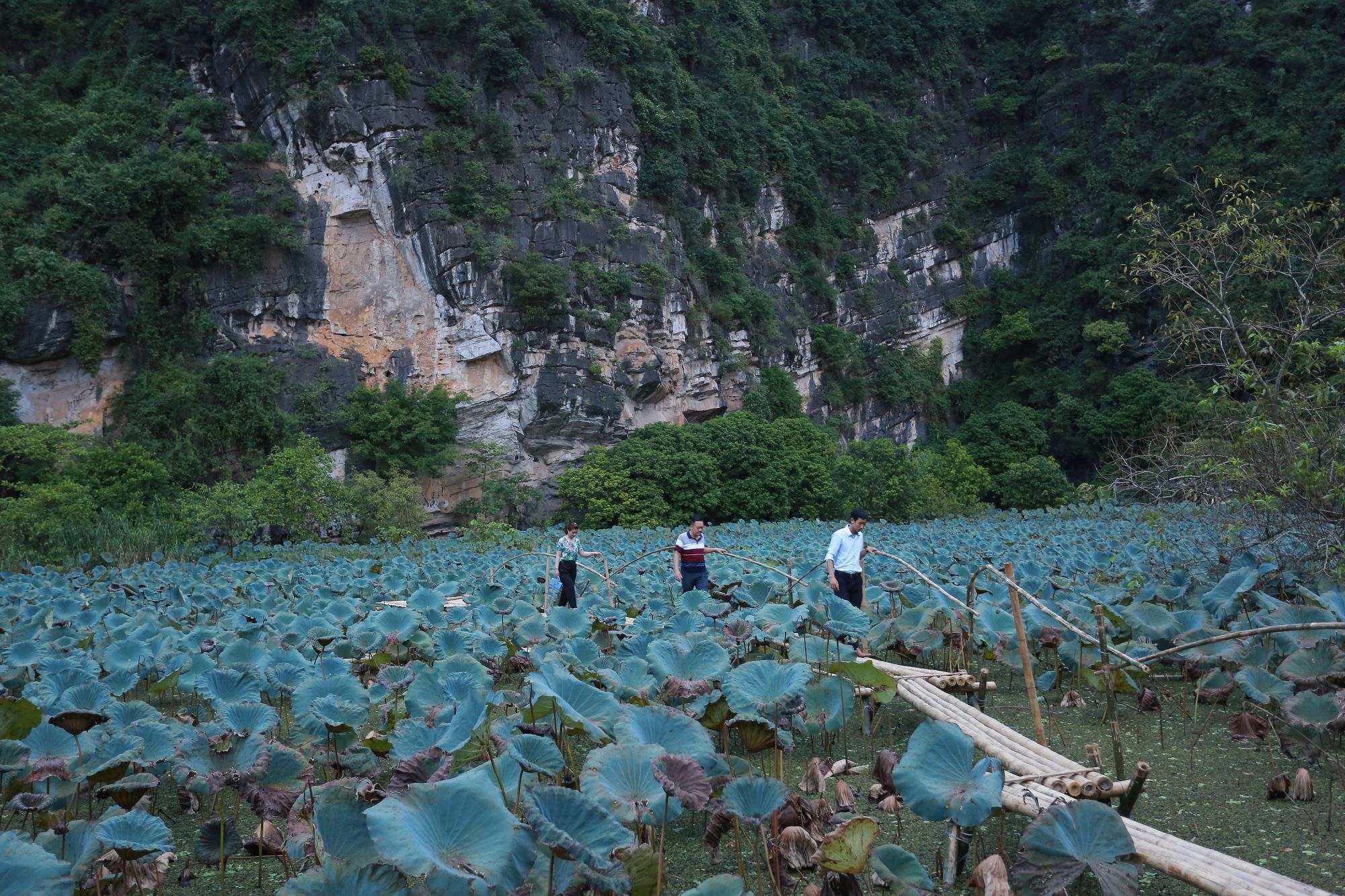 Trang An Heritage Garden * Ninh Binh