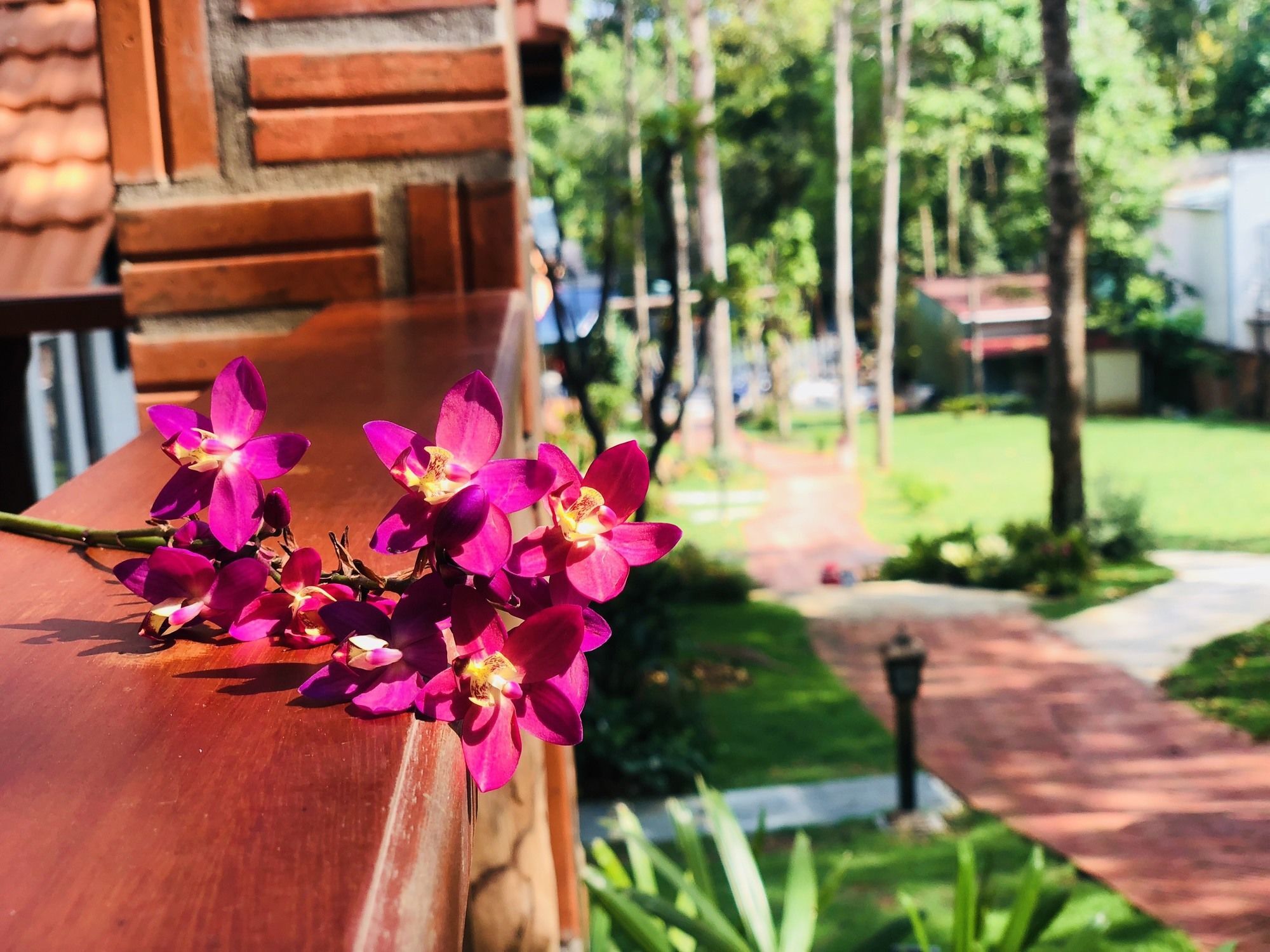 Doi Sao Resort