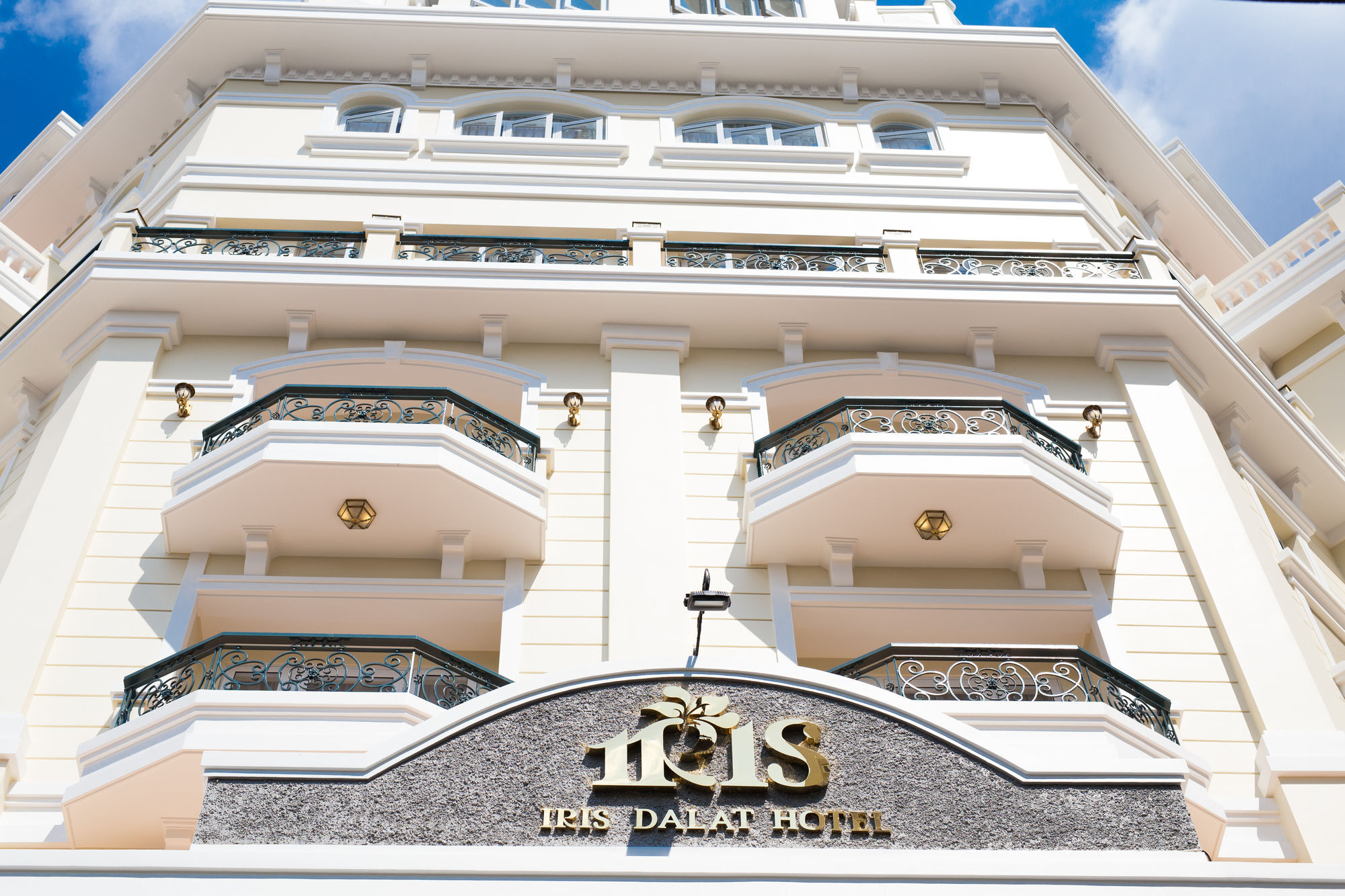 Iris 3* Da Lat