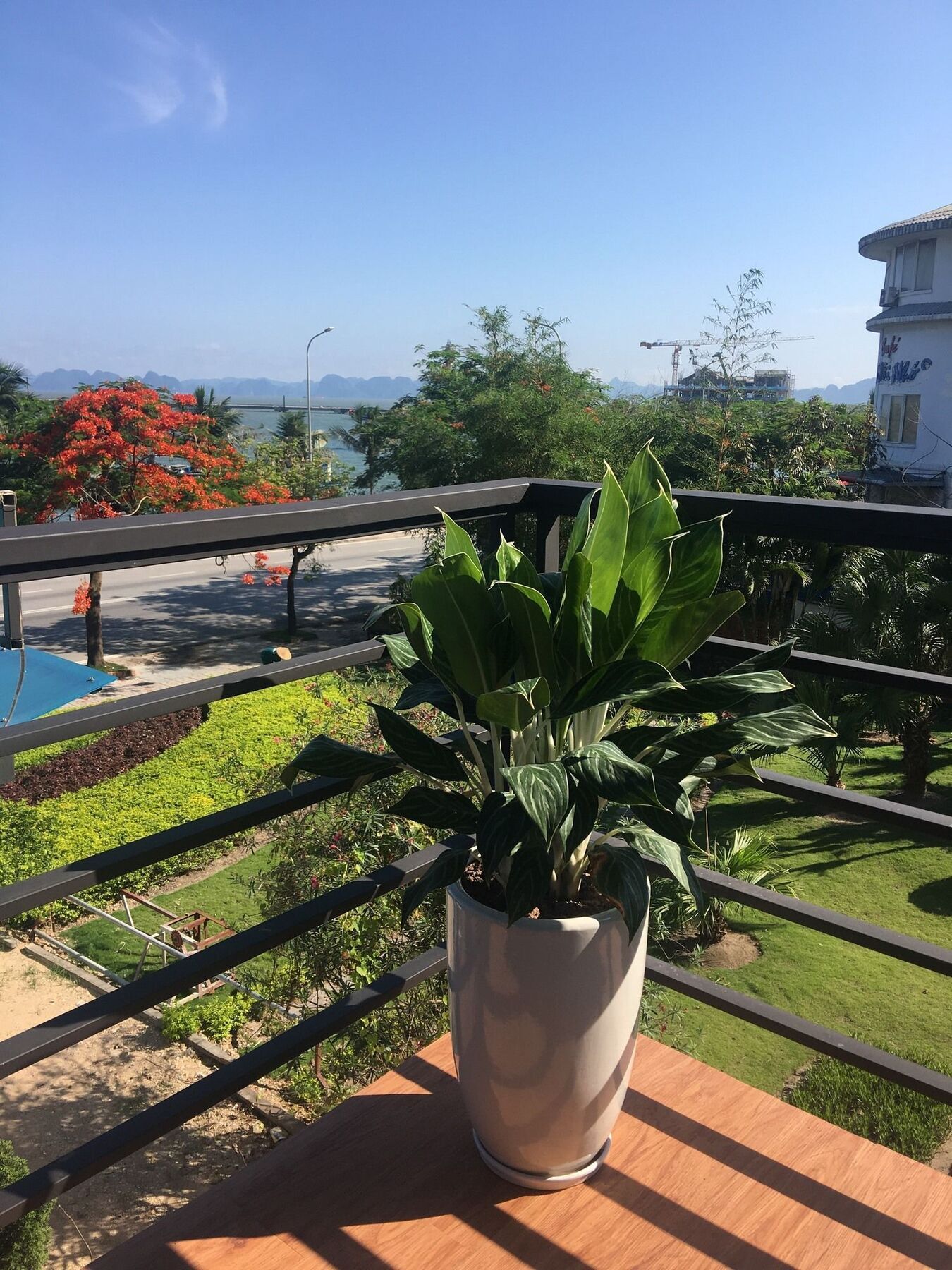 Bamboo & Hotel Ha Long