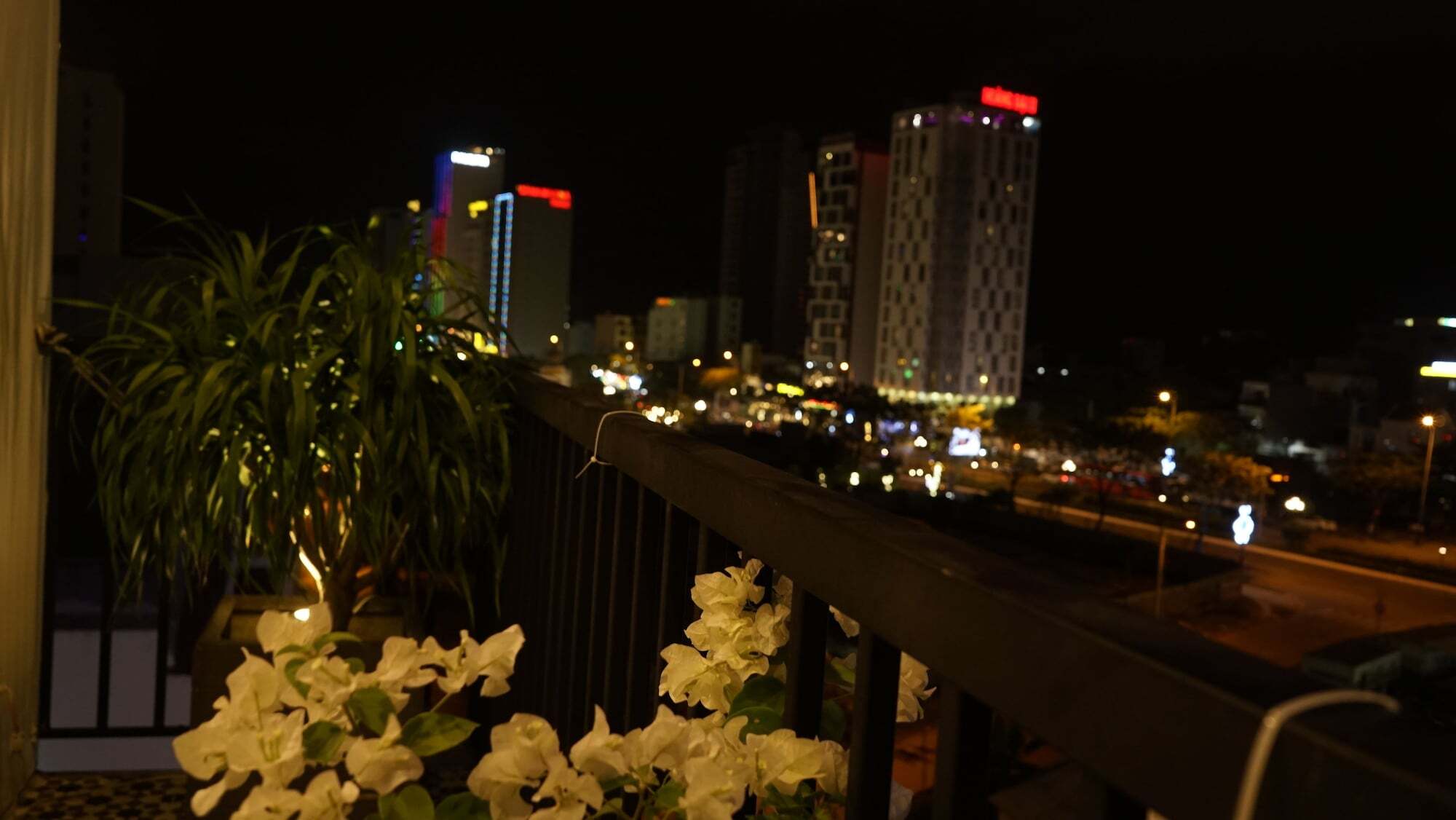 Hotel Oasis & 3*