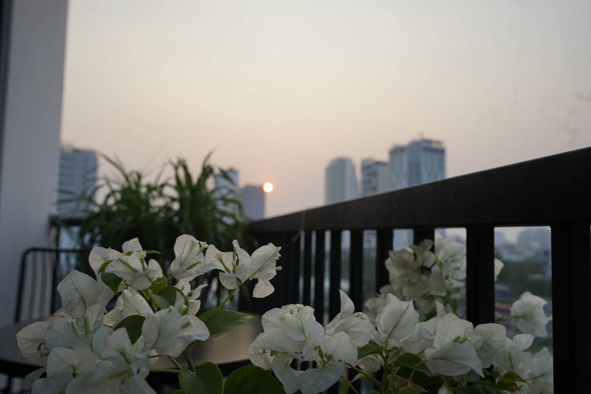 Oasis & Da Nang