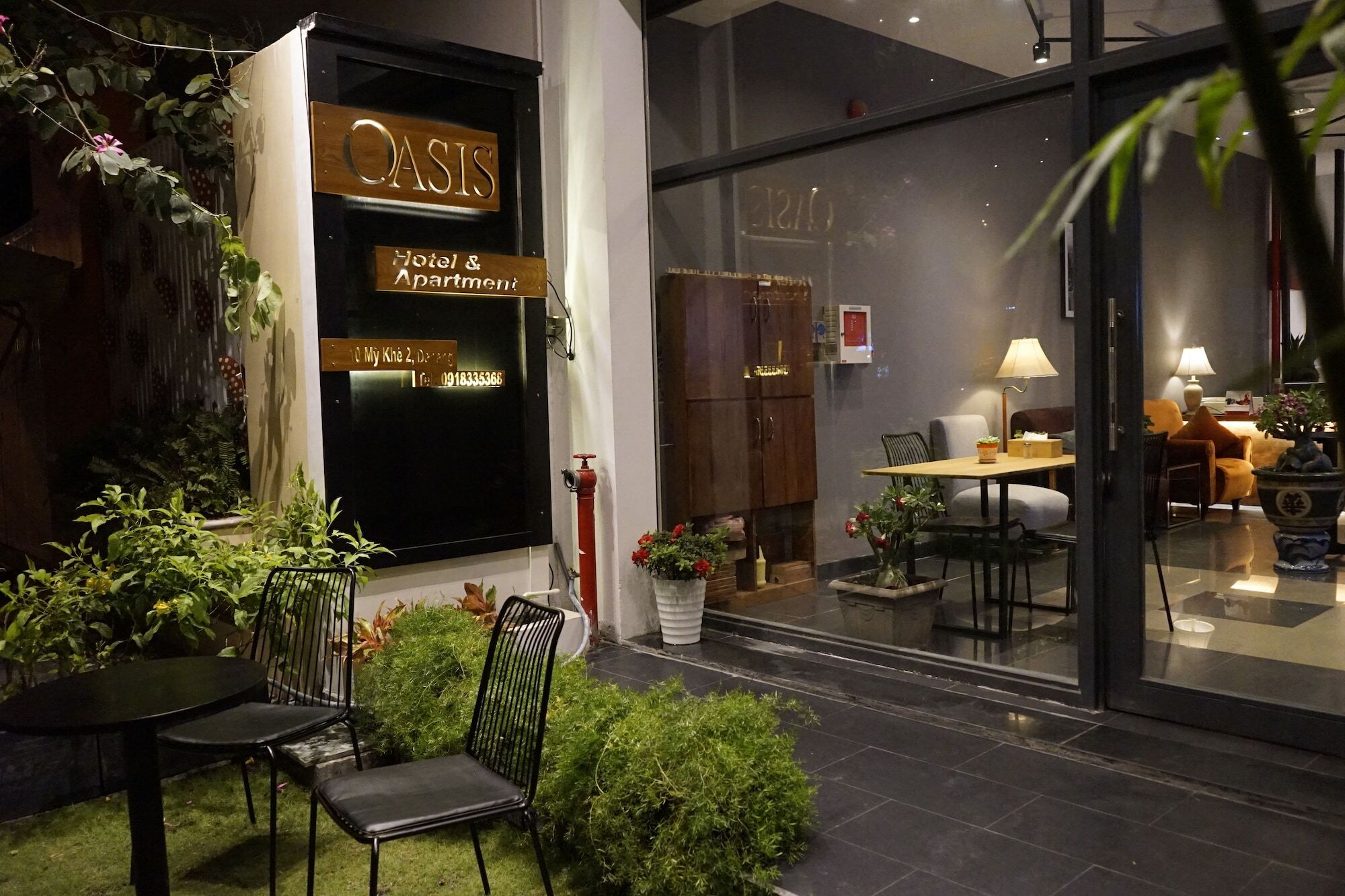 Oasis &