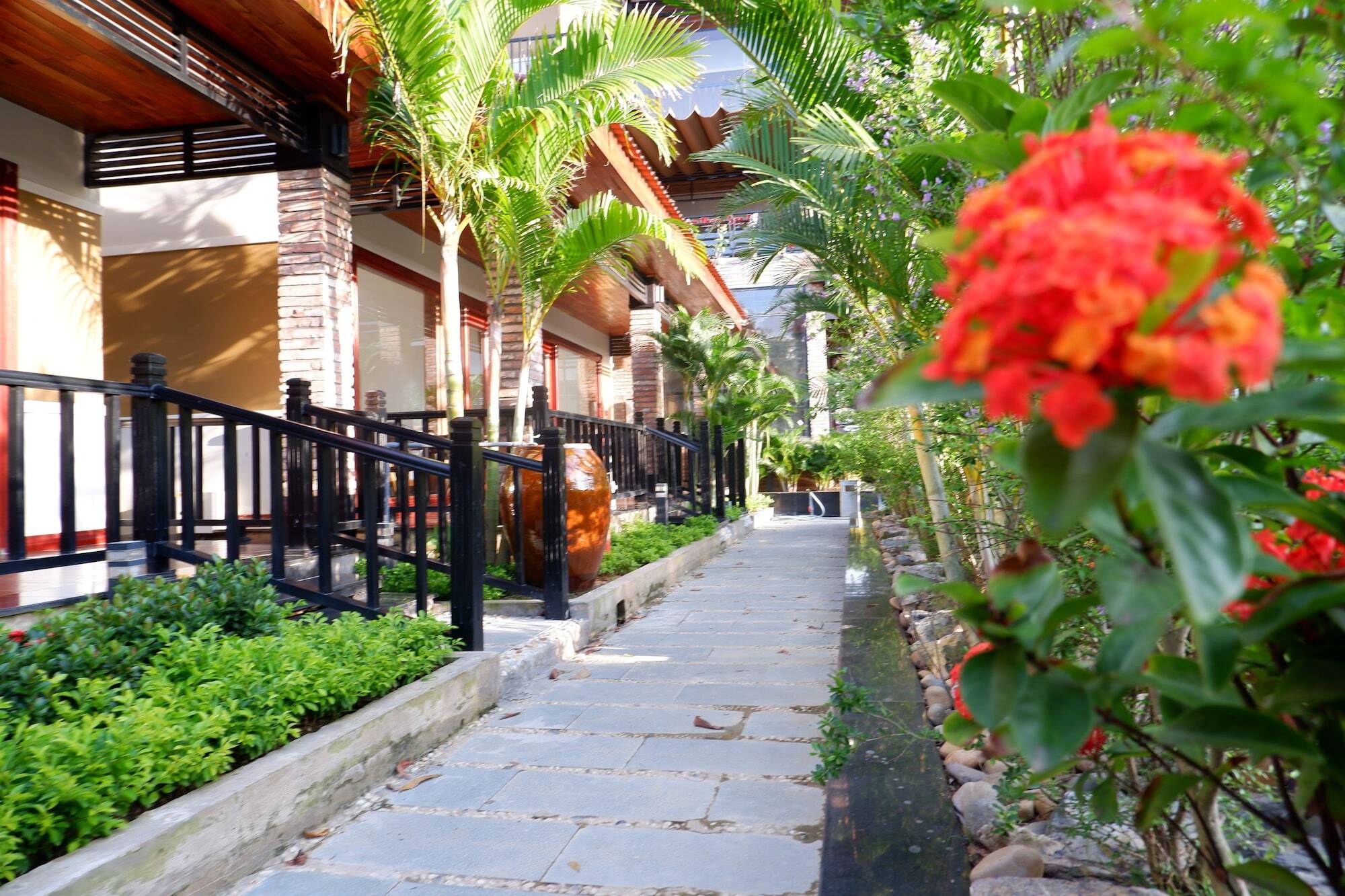 Qualia Phu Quoc