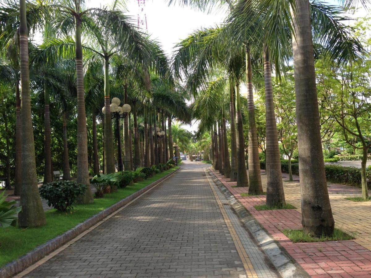 Camela & Hotel Hai Phong
