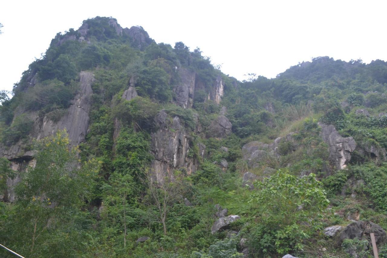 Phong Nha Homestay Homestay