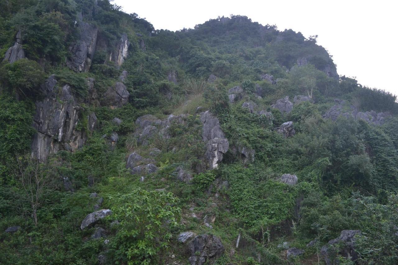 Phong Nha Homestay Homestay