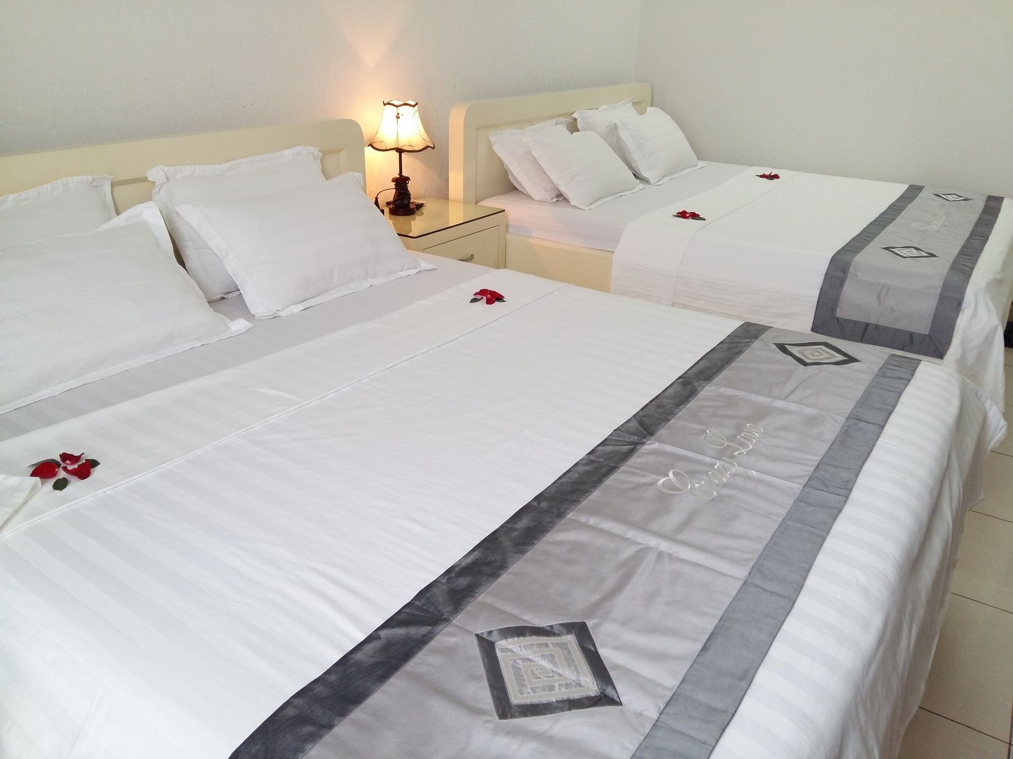 Sao Mai Cosy Nest-noi Bai Airport Hostel