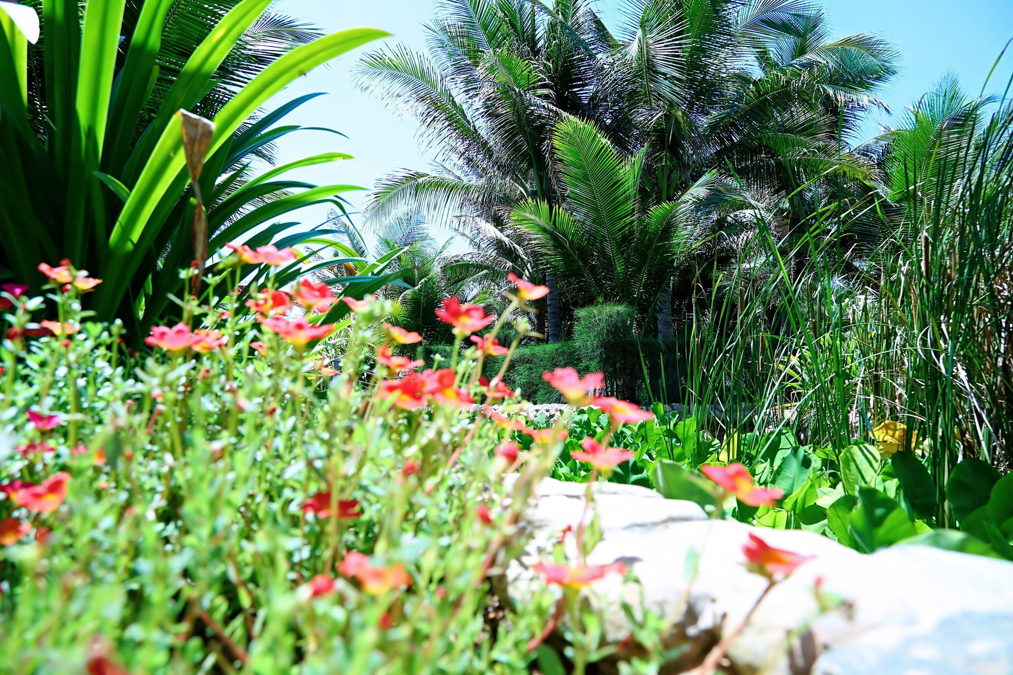 Sandunes & Resort