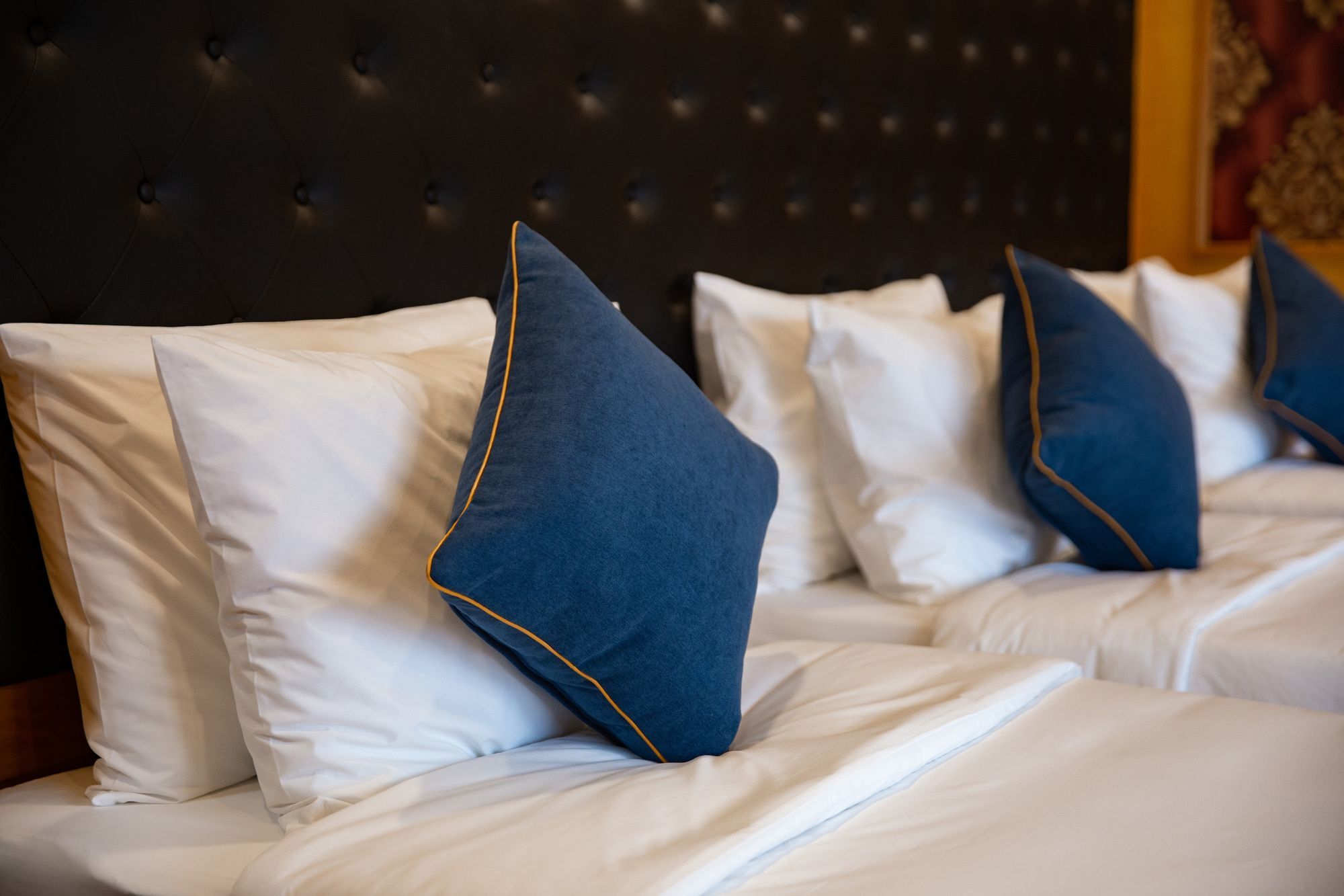 Venezia Cruises 4*