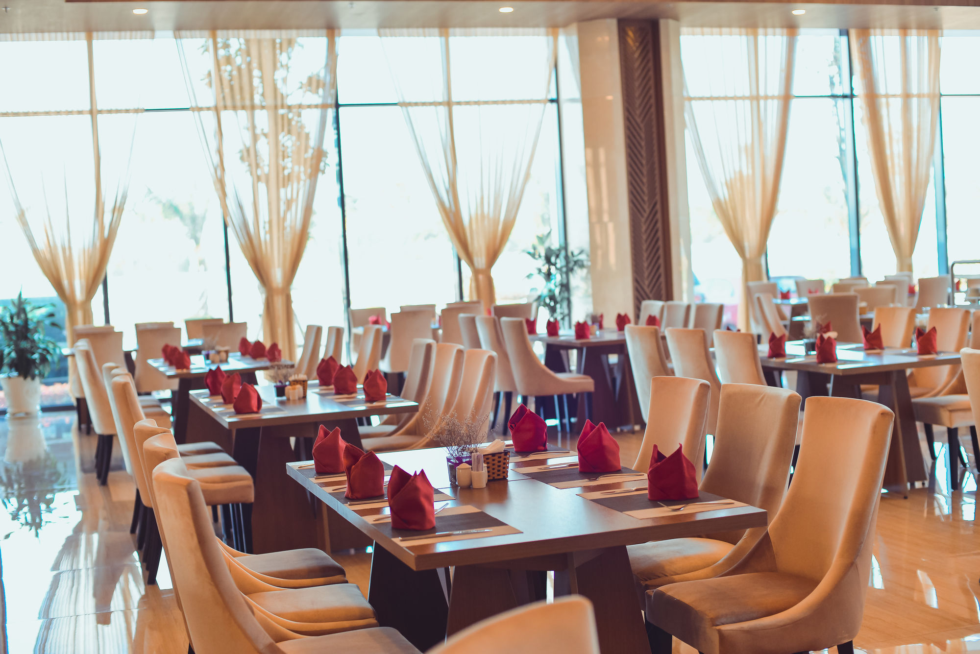 Muong Thanh Luxury Khách sạn Ca Mau