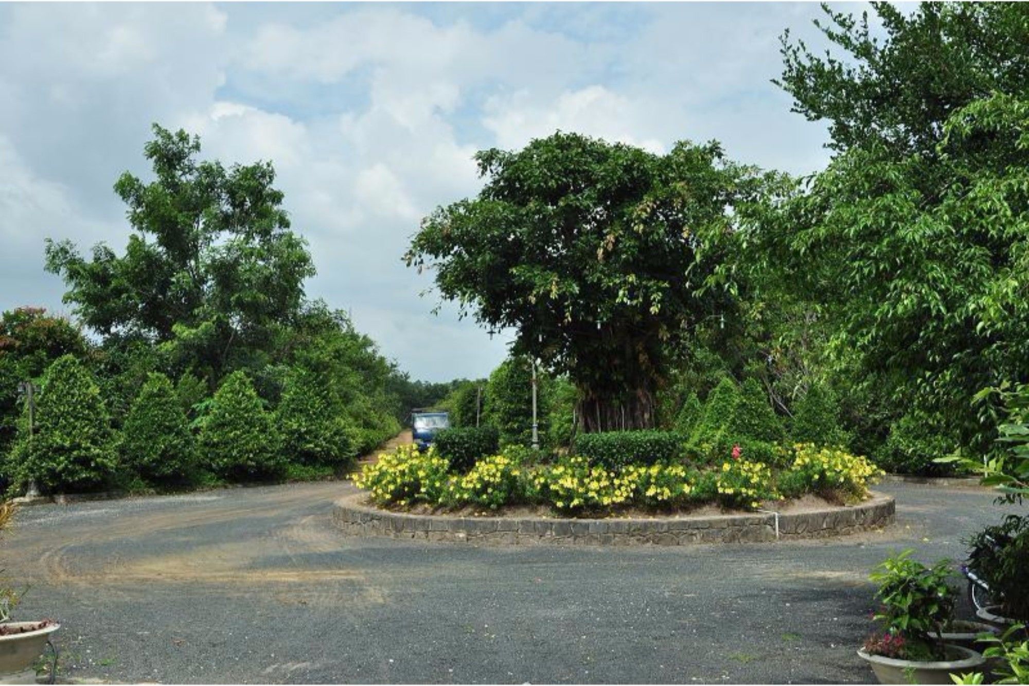 Long Chau Resort Xuyen Moc