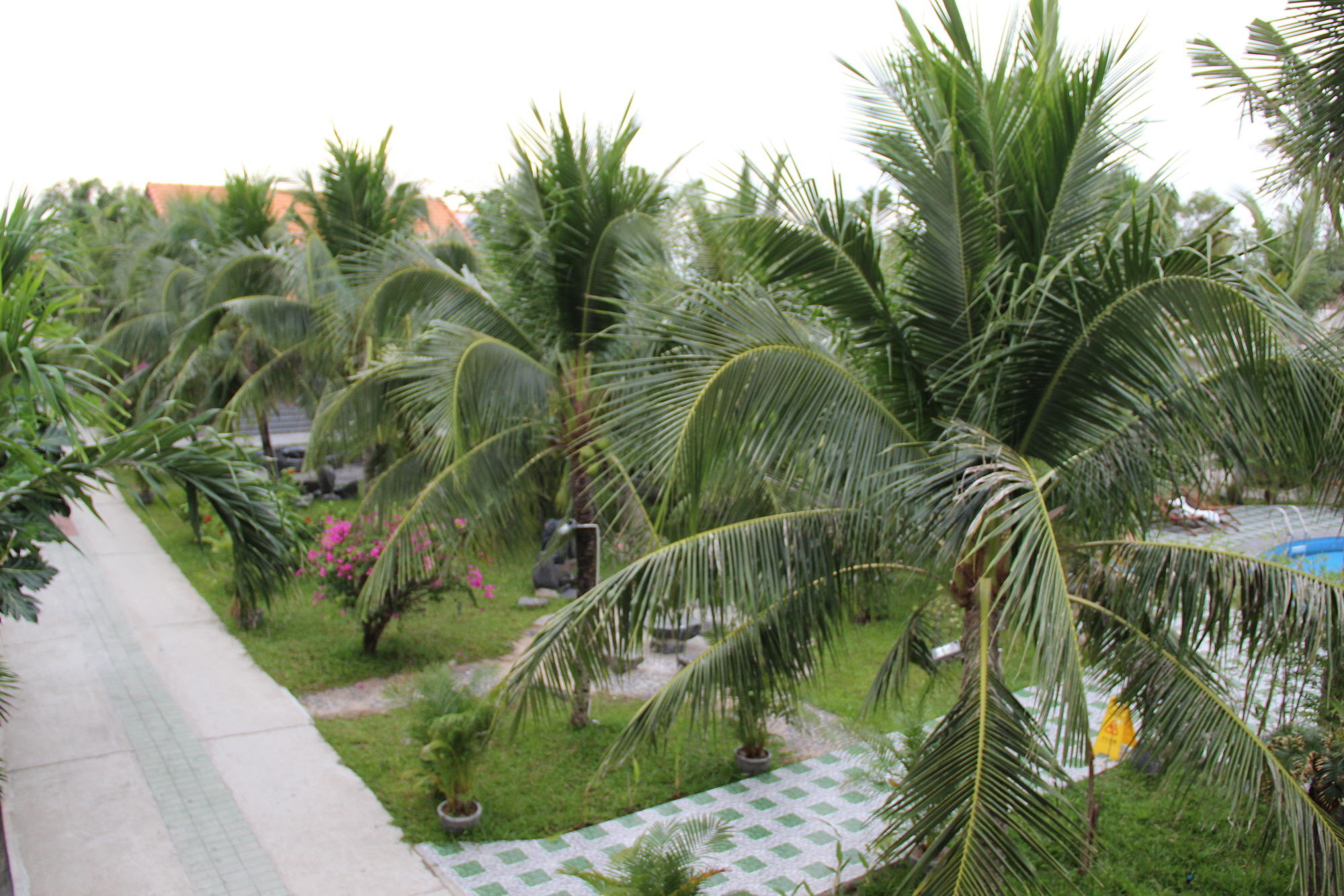 Gm Doc Let & Ninh Hoa