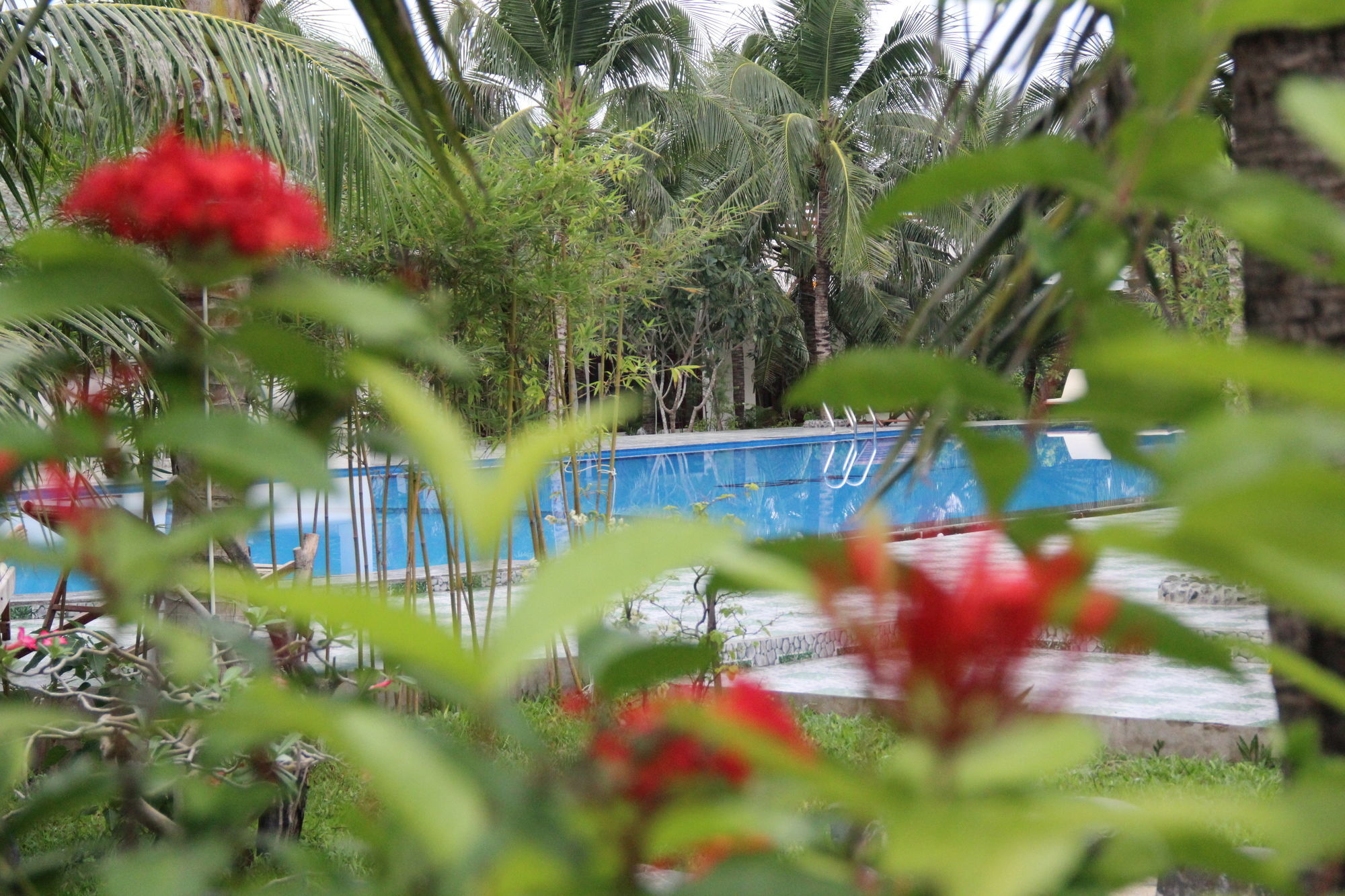 Gm Doc Let & 4* Ninh Hoa