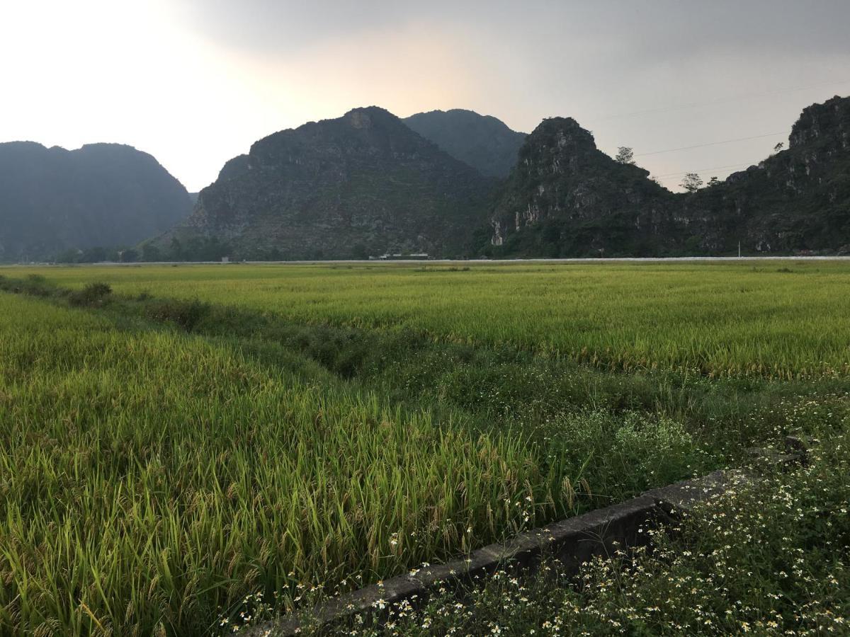 Limestone View * Ninh Binh