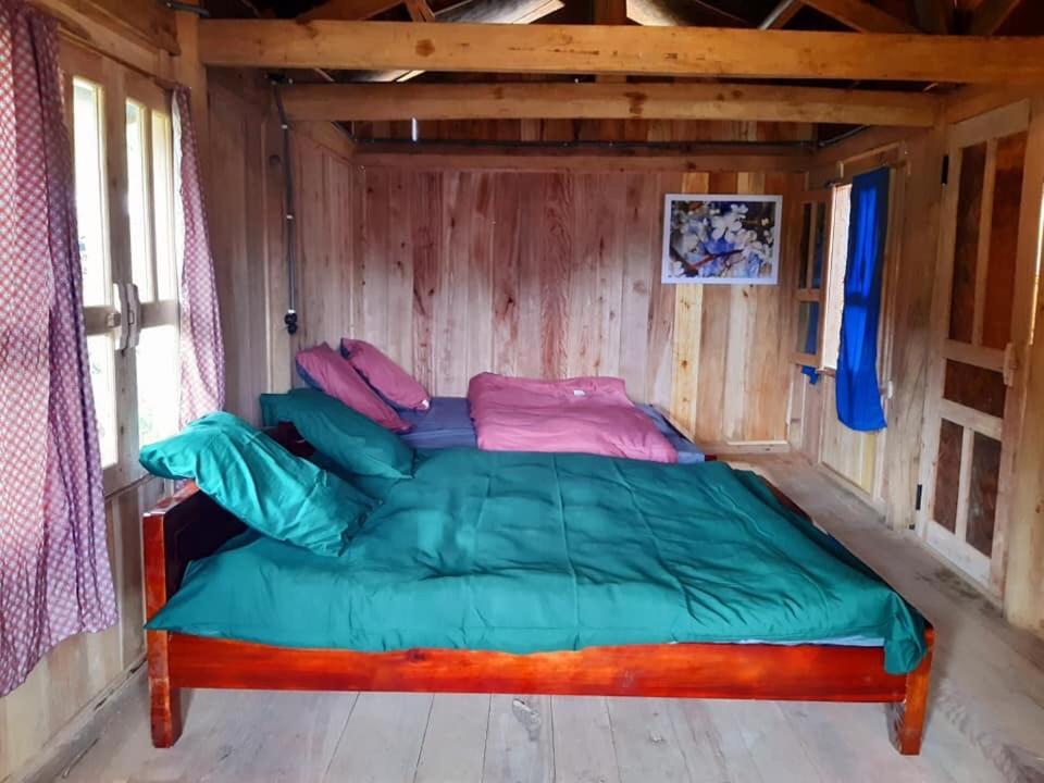 Homie Lodge Lang Xao Vang