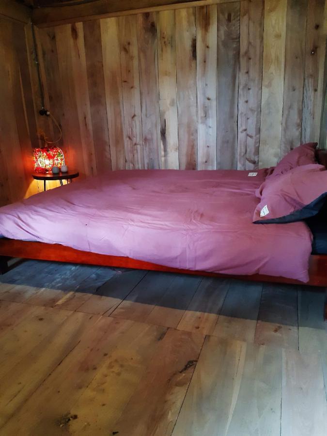 Homie Lodge Lang Xao Vang