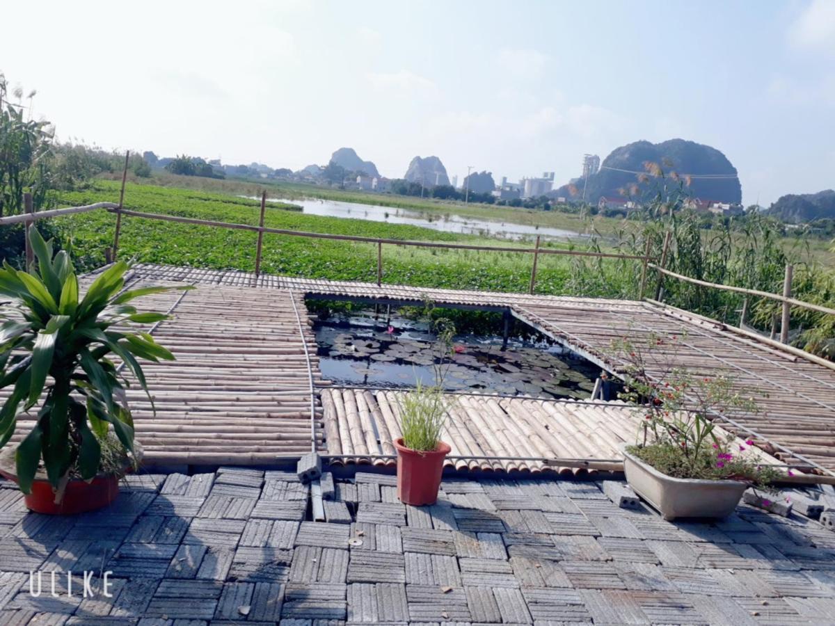 Tam Coc Rice Fields Ninh Binh
