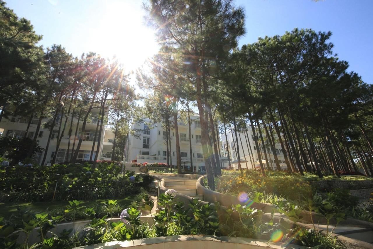 Cereja & Da Lat