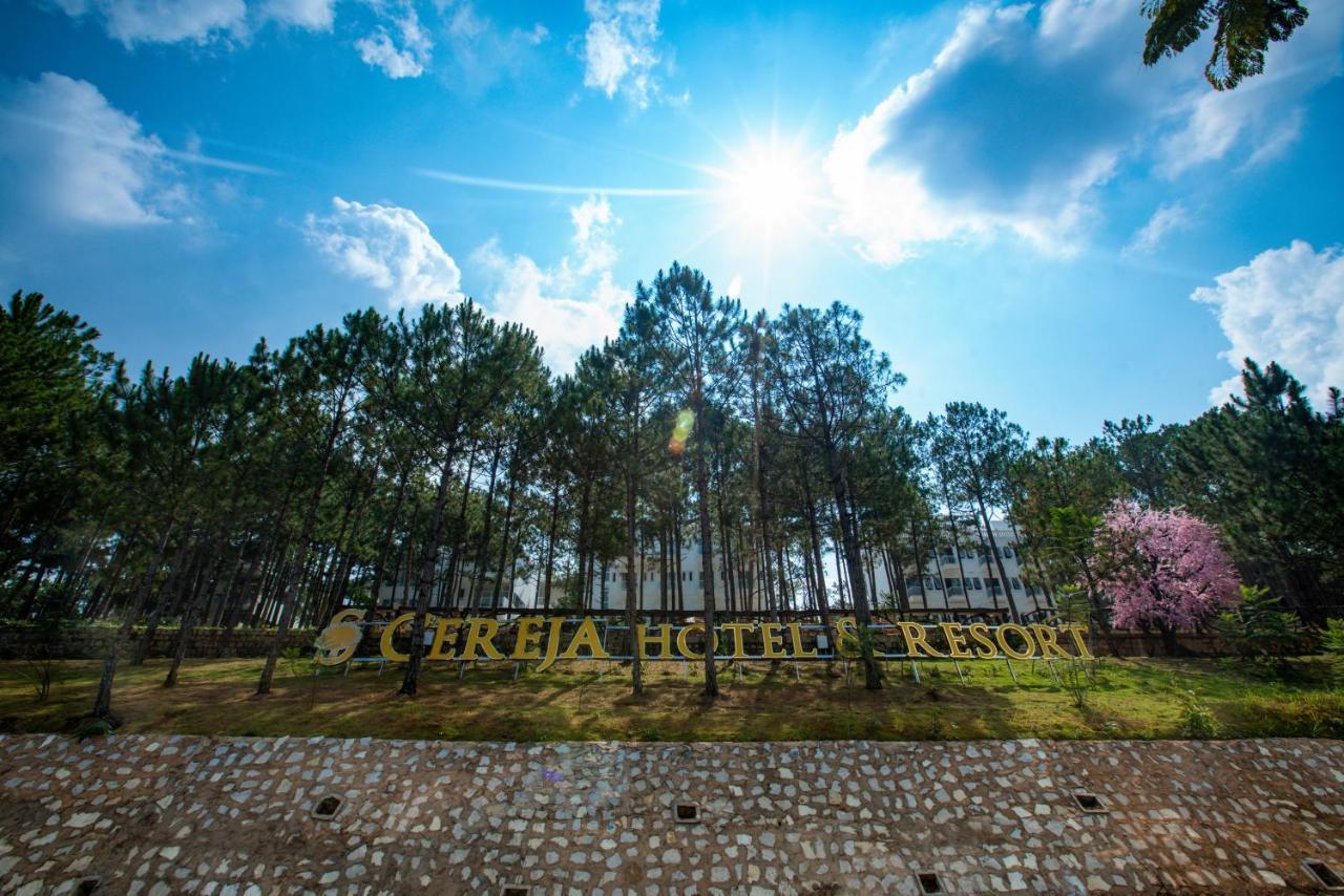 Cereja & Da Lat