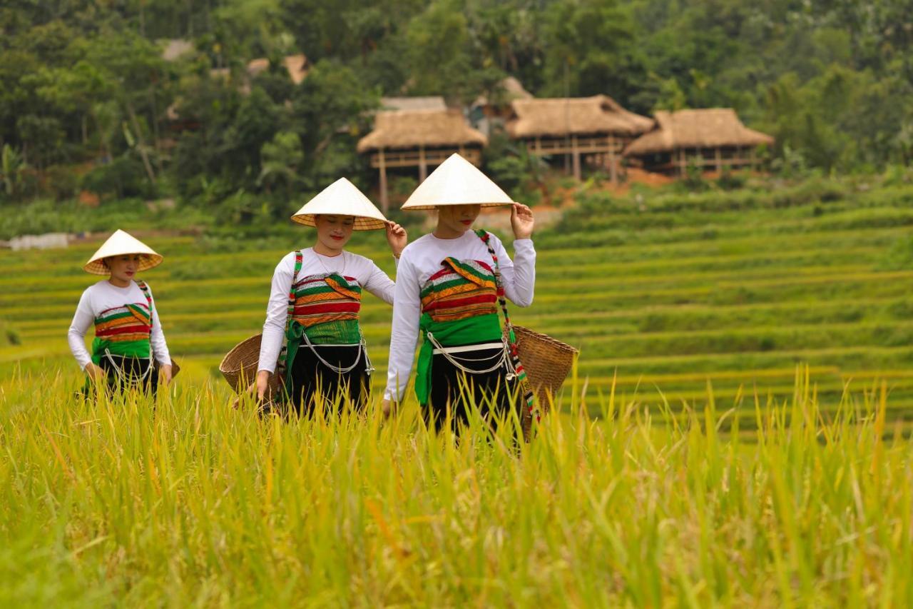 Natura Pu Luong