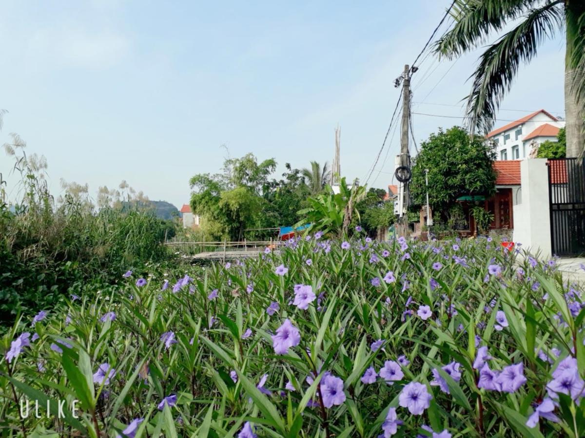 Tam Coc Rice Fields Homestay *
