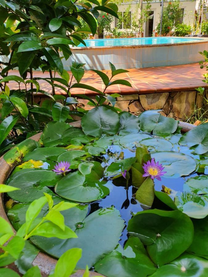 Blue Paradise Phu Quoc