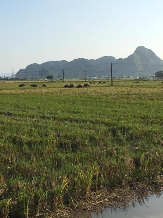 Limestone View Homestay Ninh Binh