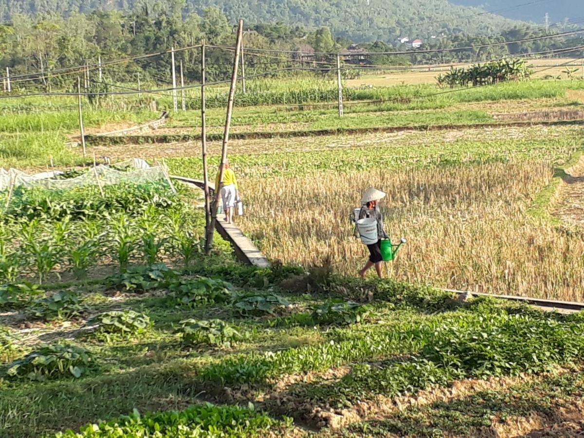 Truong Huy Mai Châu