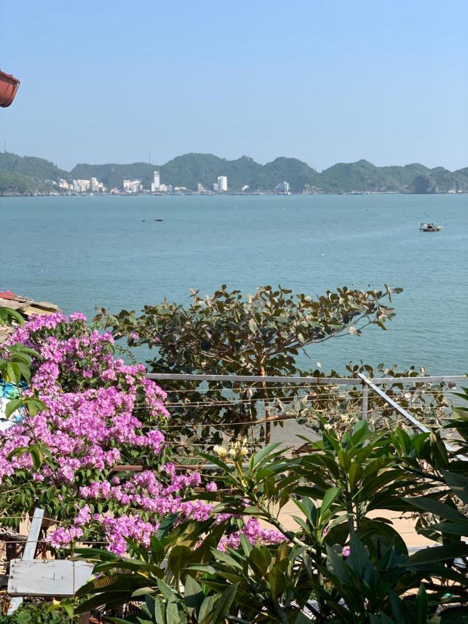 Ocean Beach Resort Resort 3*